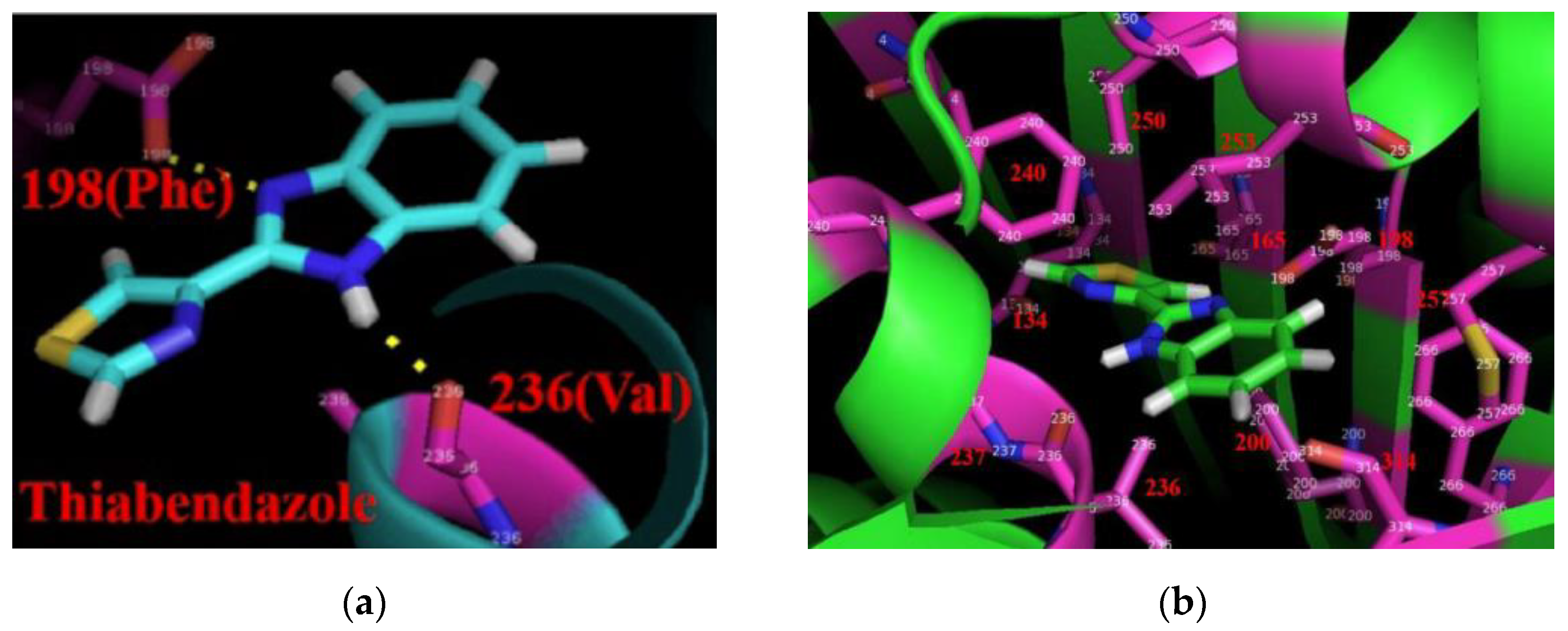 Molecules 28 03926 g003