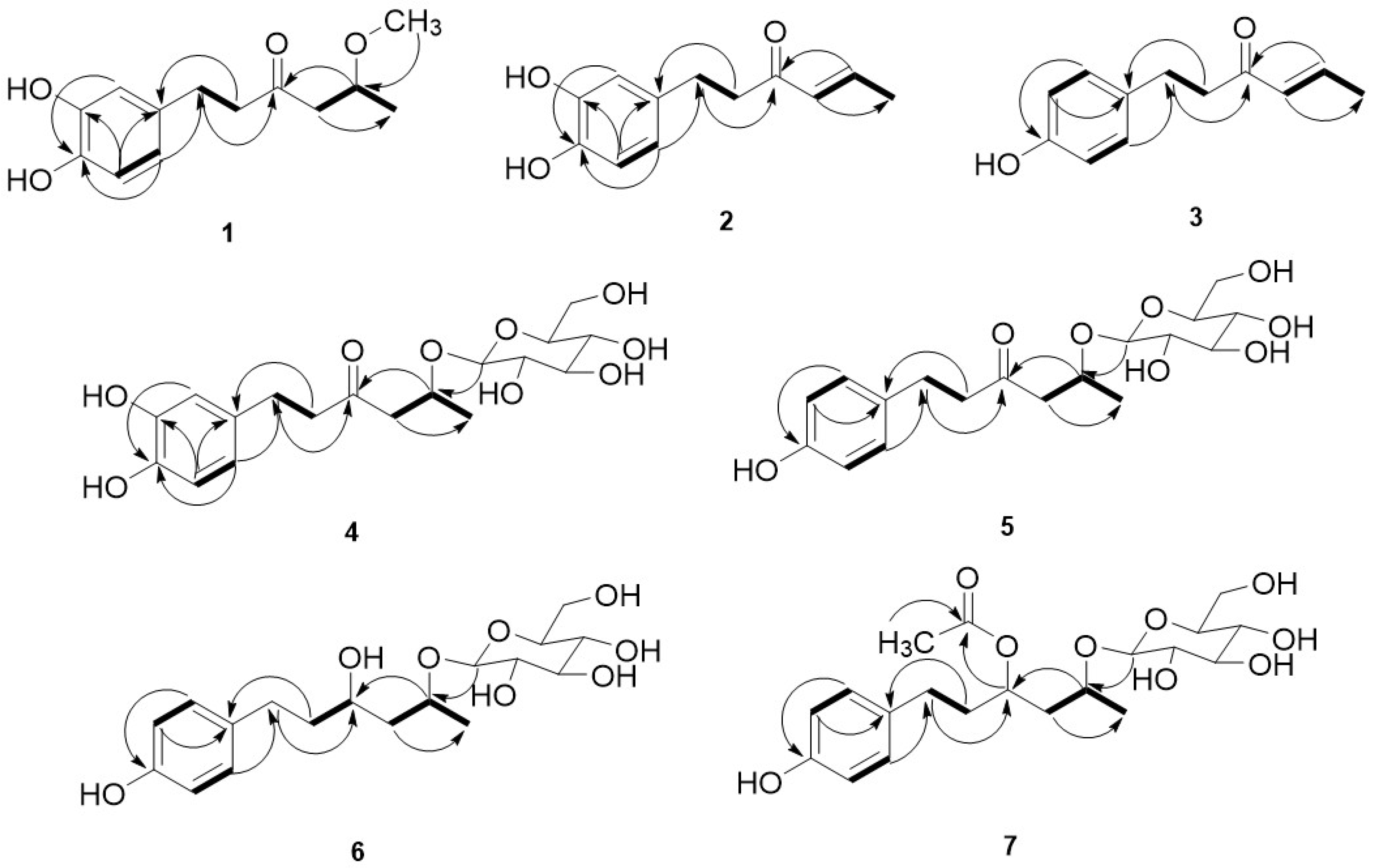 Molecules 28 03928 g002
