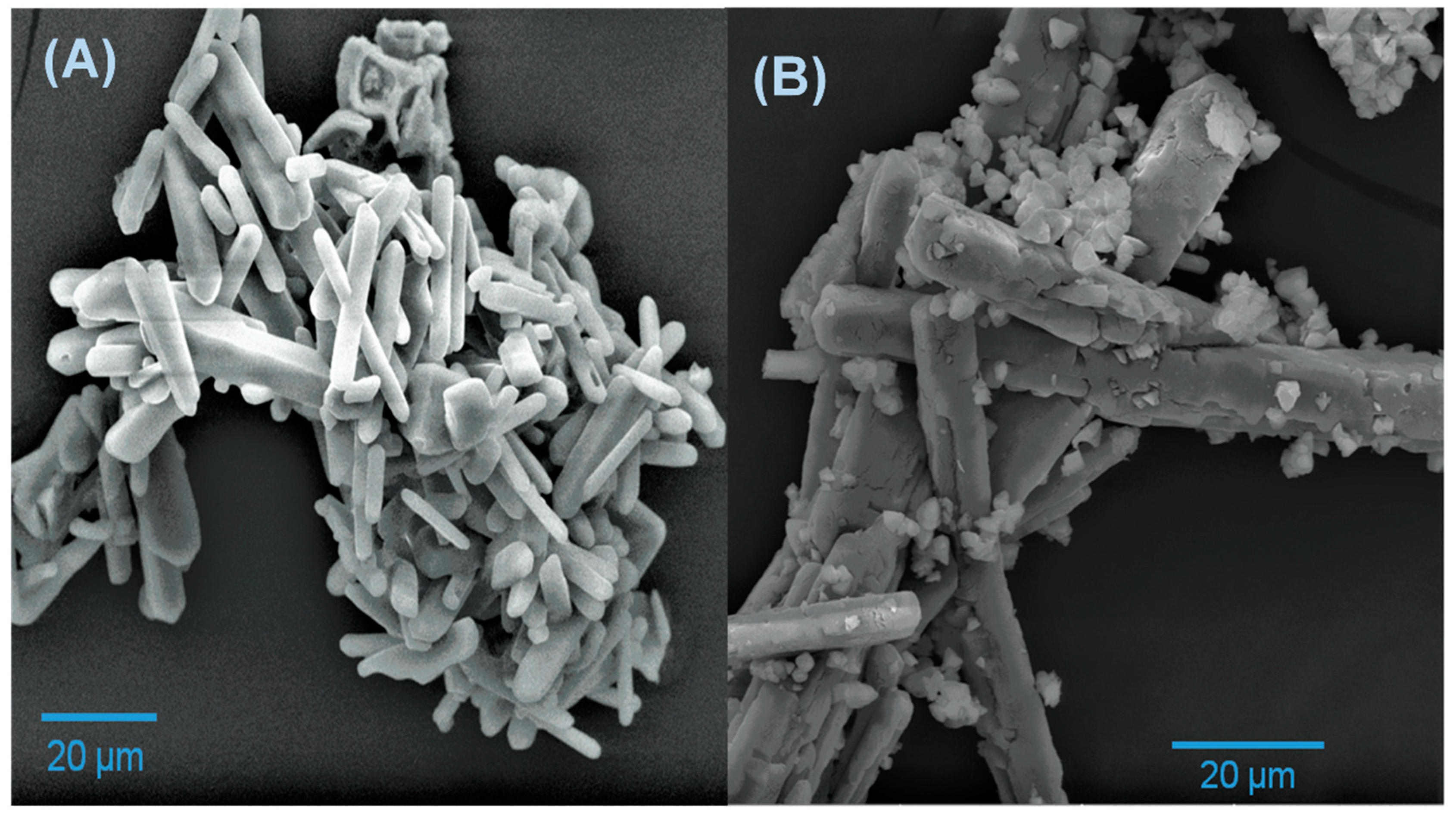 Molecules 28 03932 g002