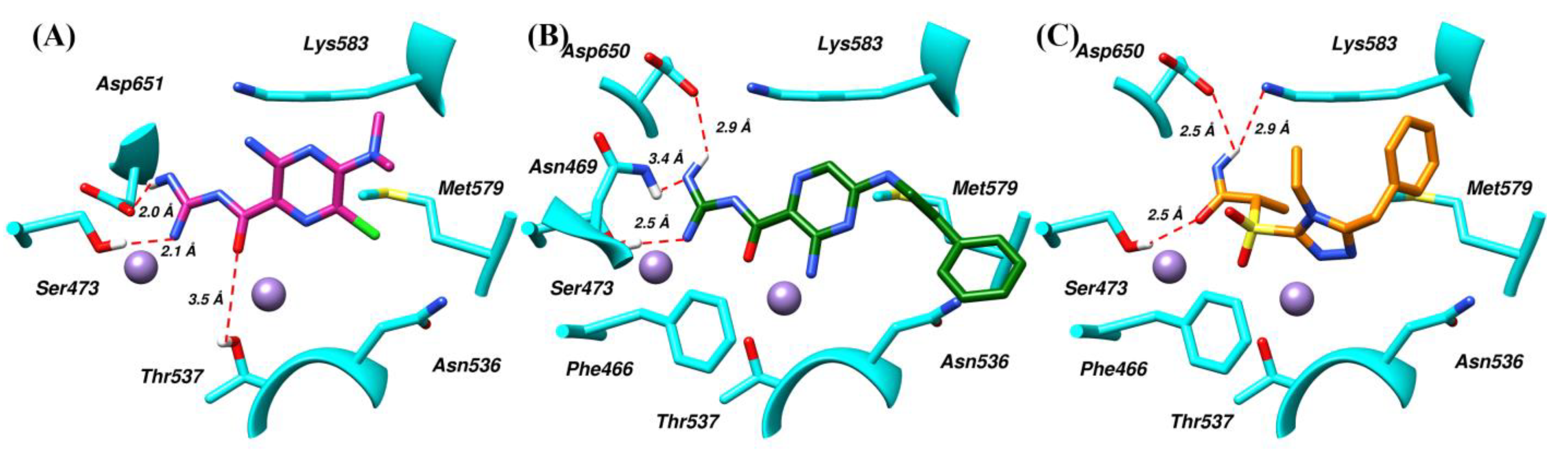 Molecules 28 03938 g005 Molecules 28 03938 g005