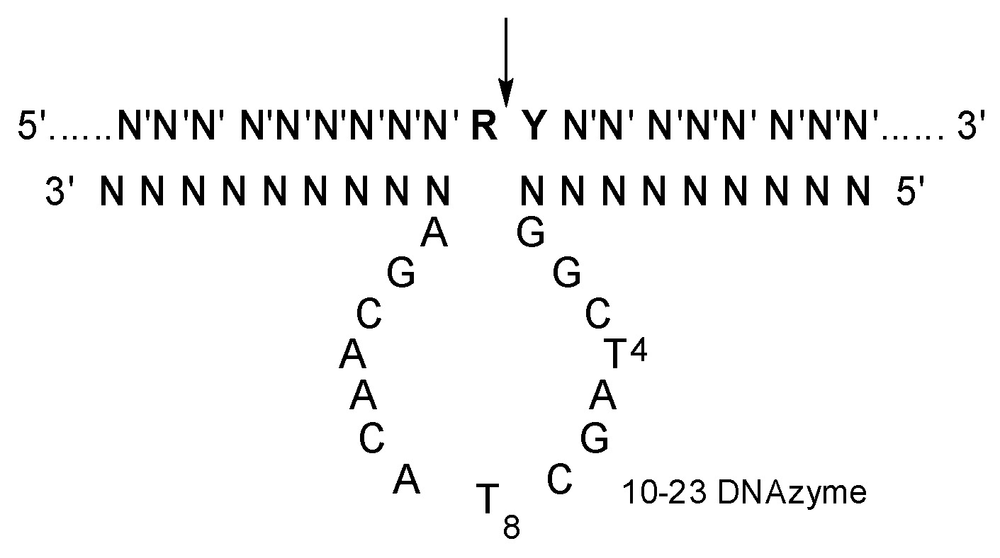 Molecules 28 03942 g001 Molecules 28 03942 g001
