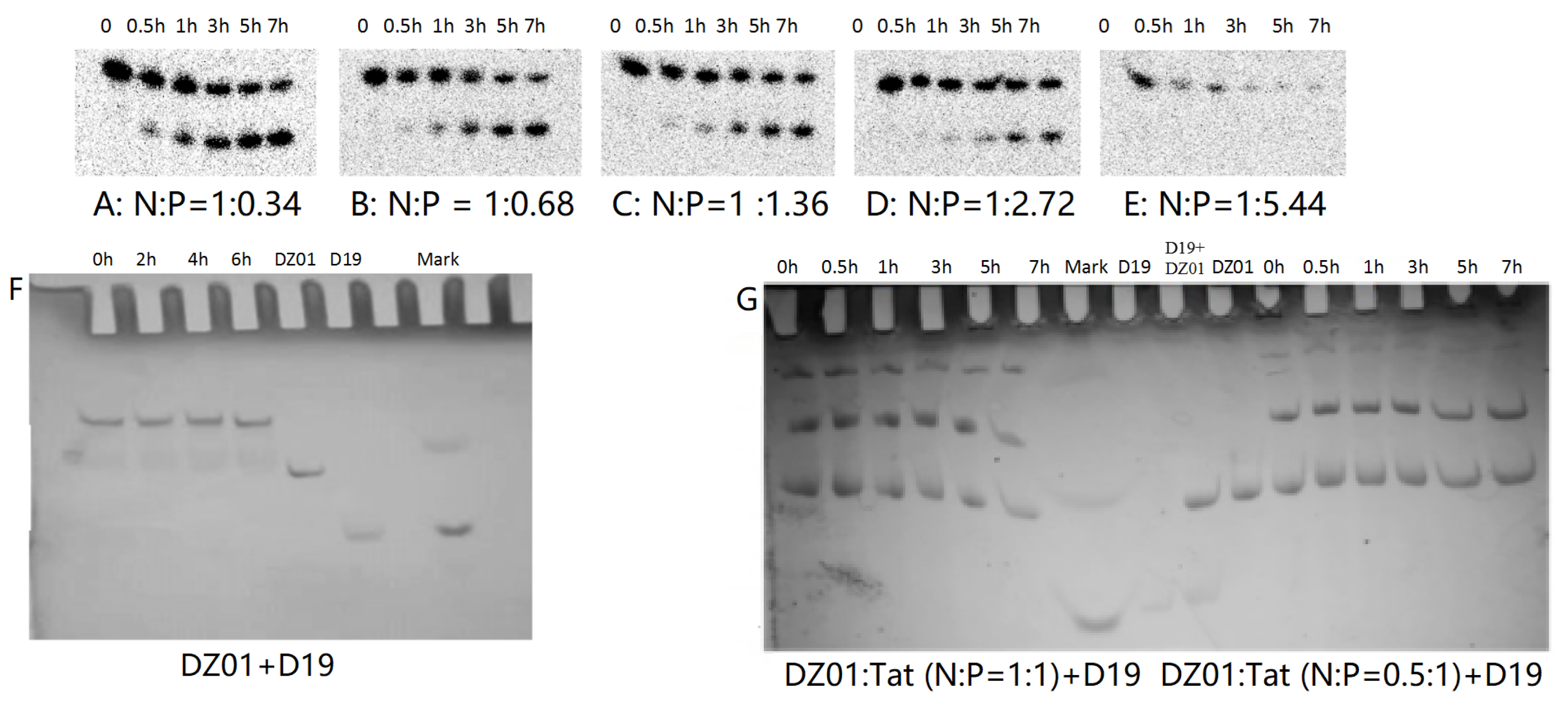 Molecules 28 03942 g004a Molecules 28 03942 g004a