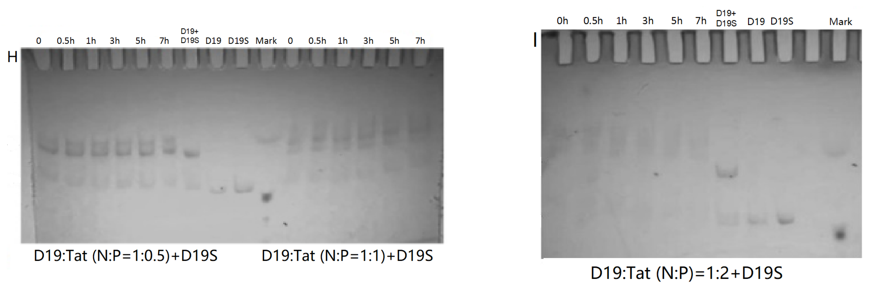 Molecules 28 03942 g004b Molecules 28 03942 g004b