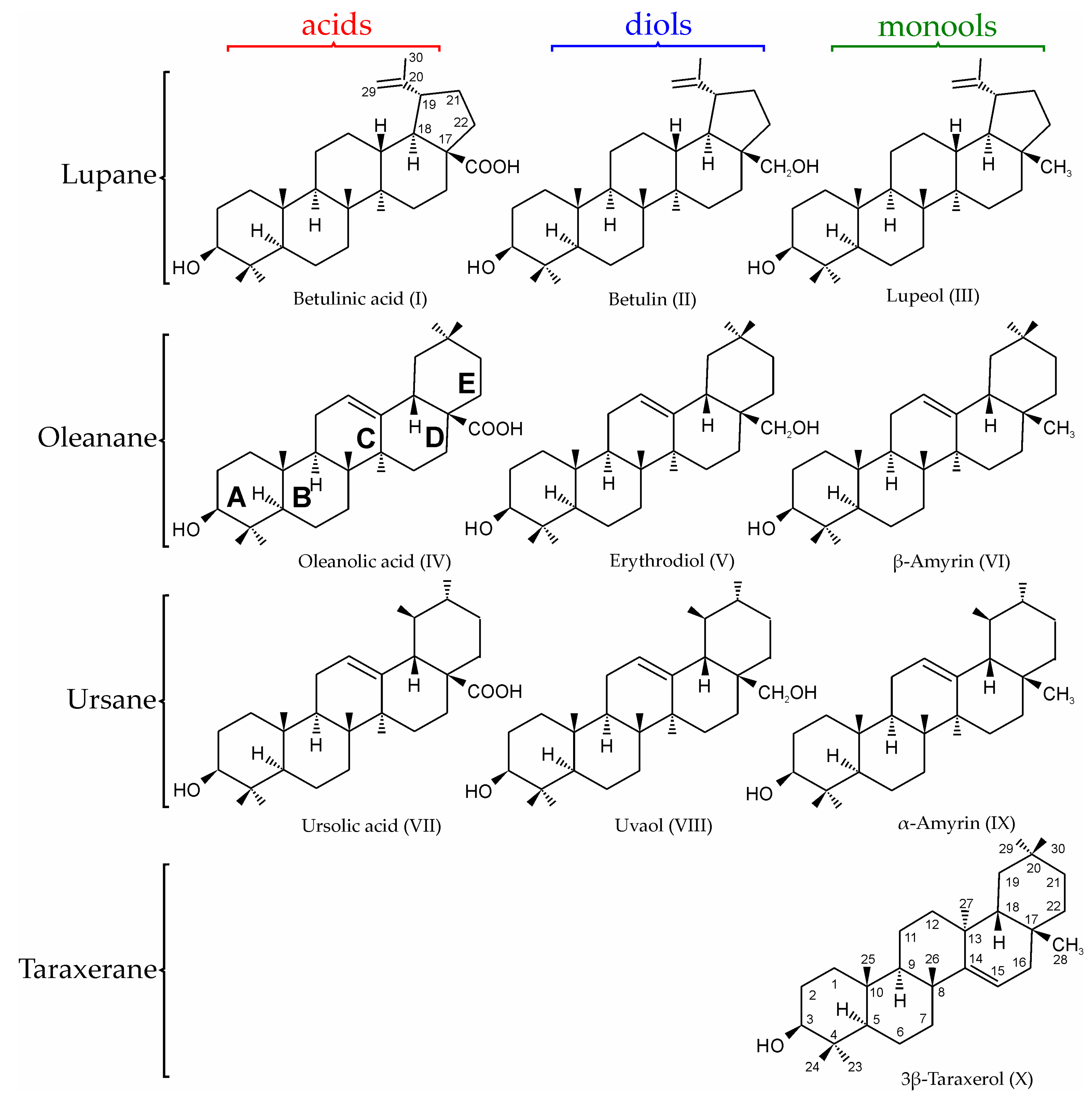Molecules 28 03945 g001
