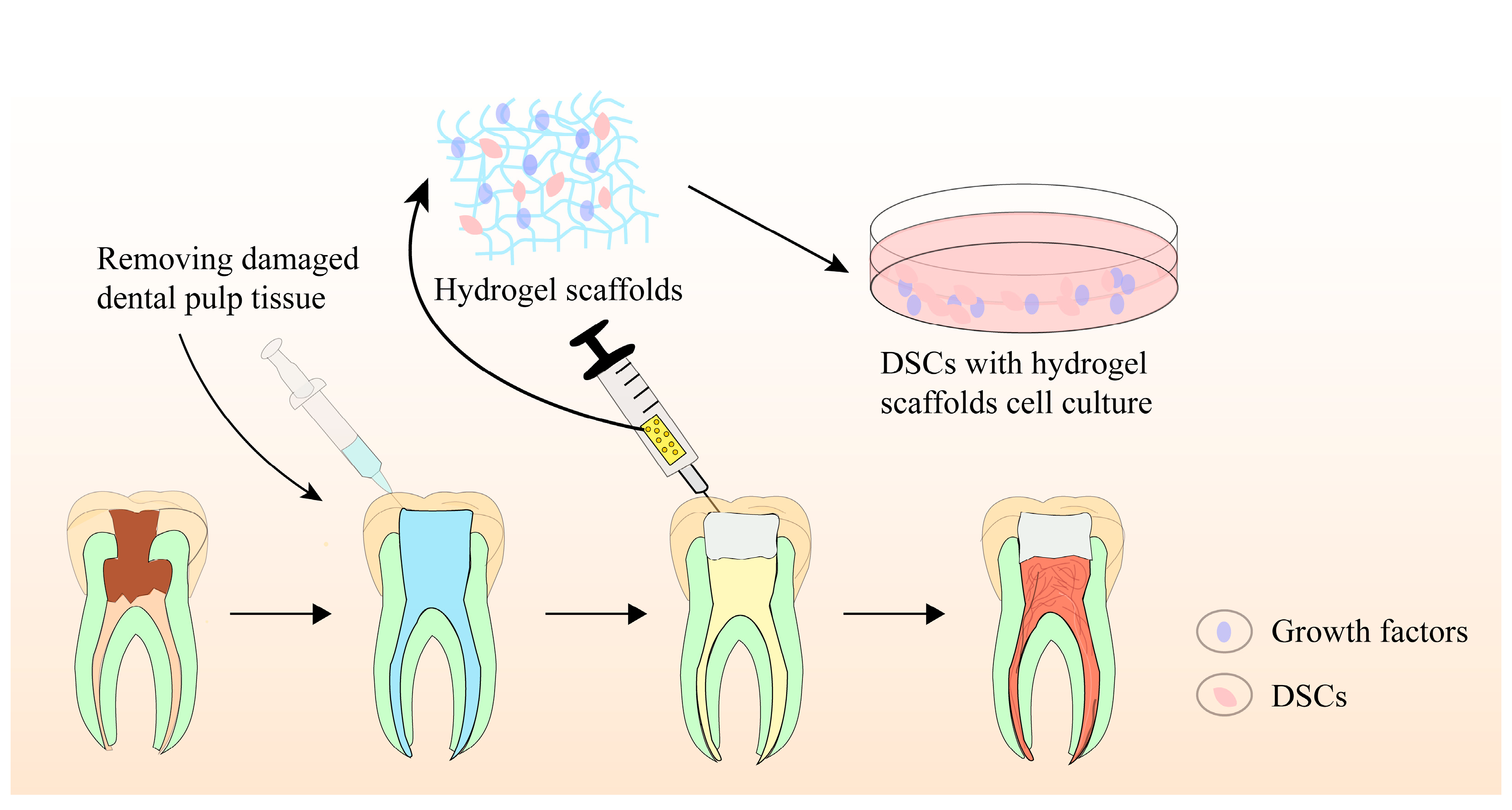 Molecules 28 03946 g003