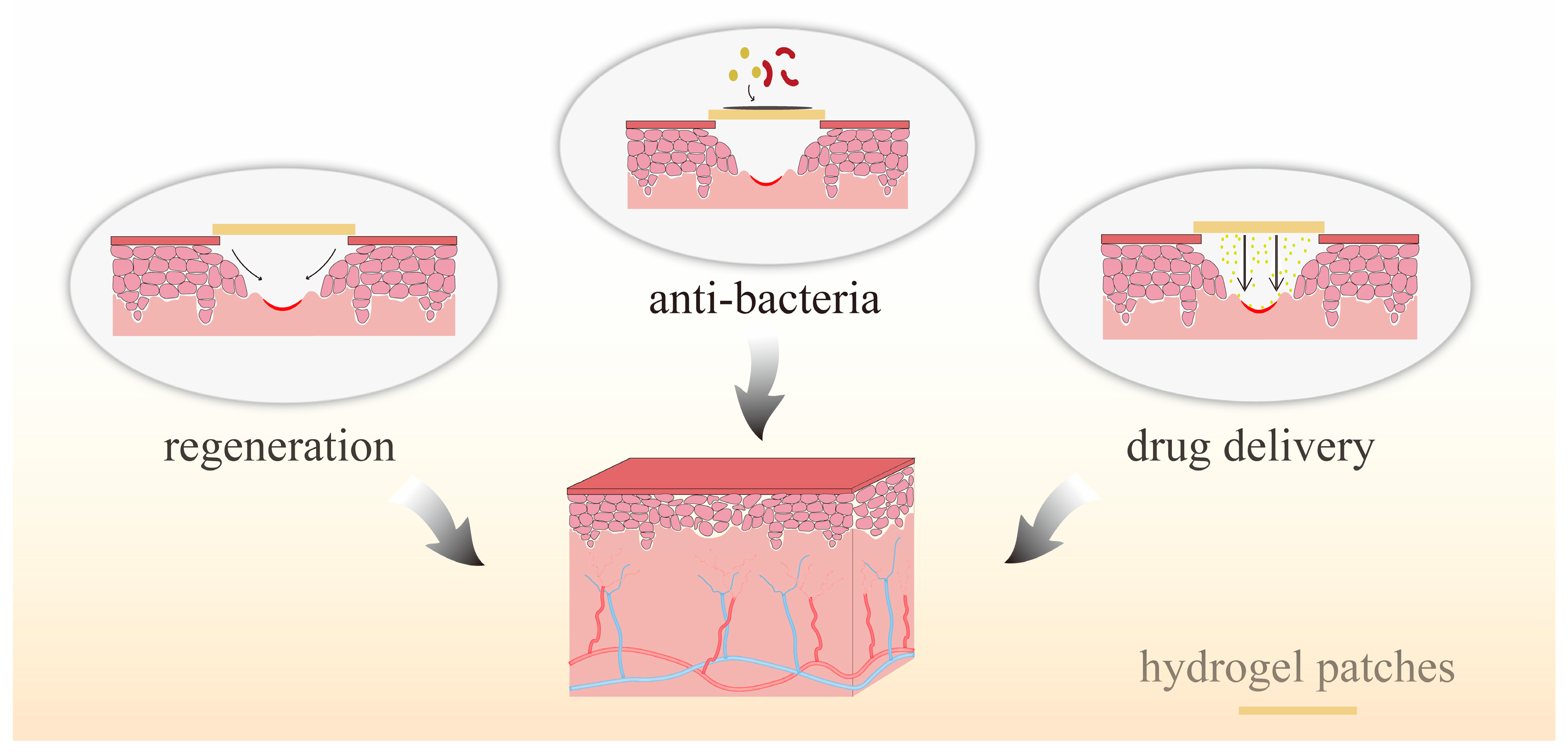 Molecules 28 03946 g006