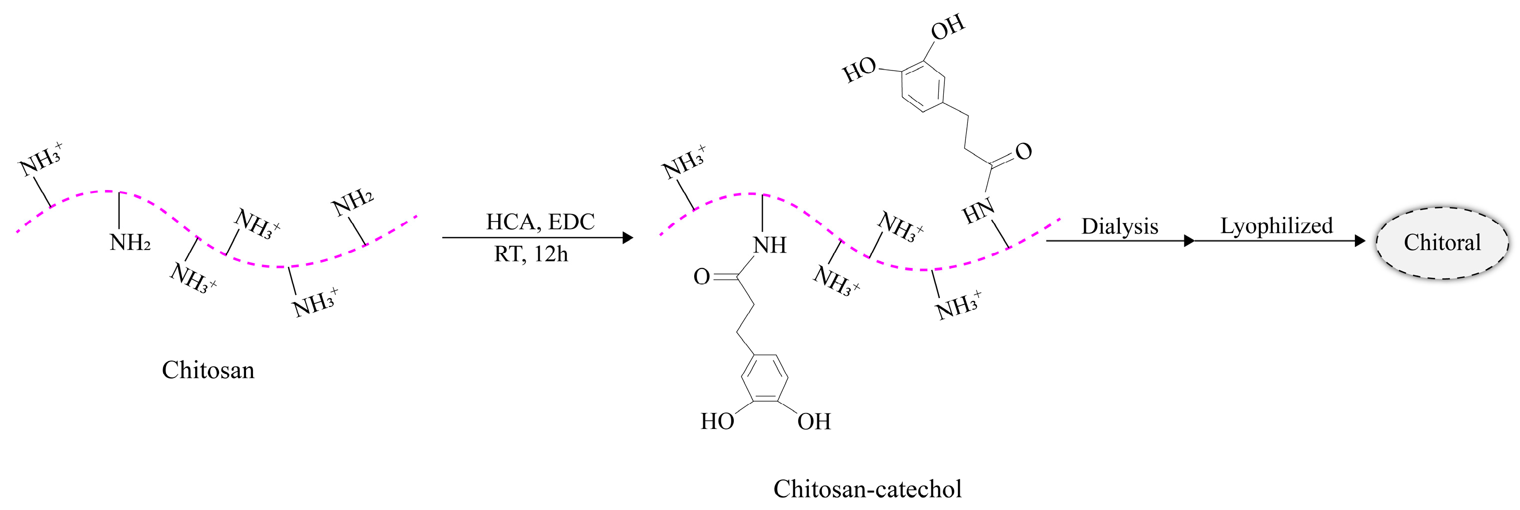 Molecules 28 03946 g007
