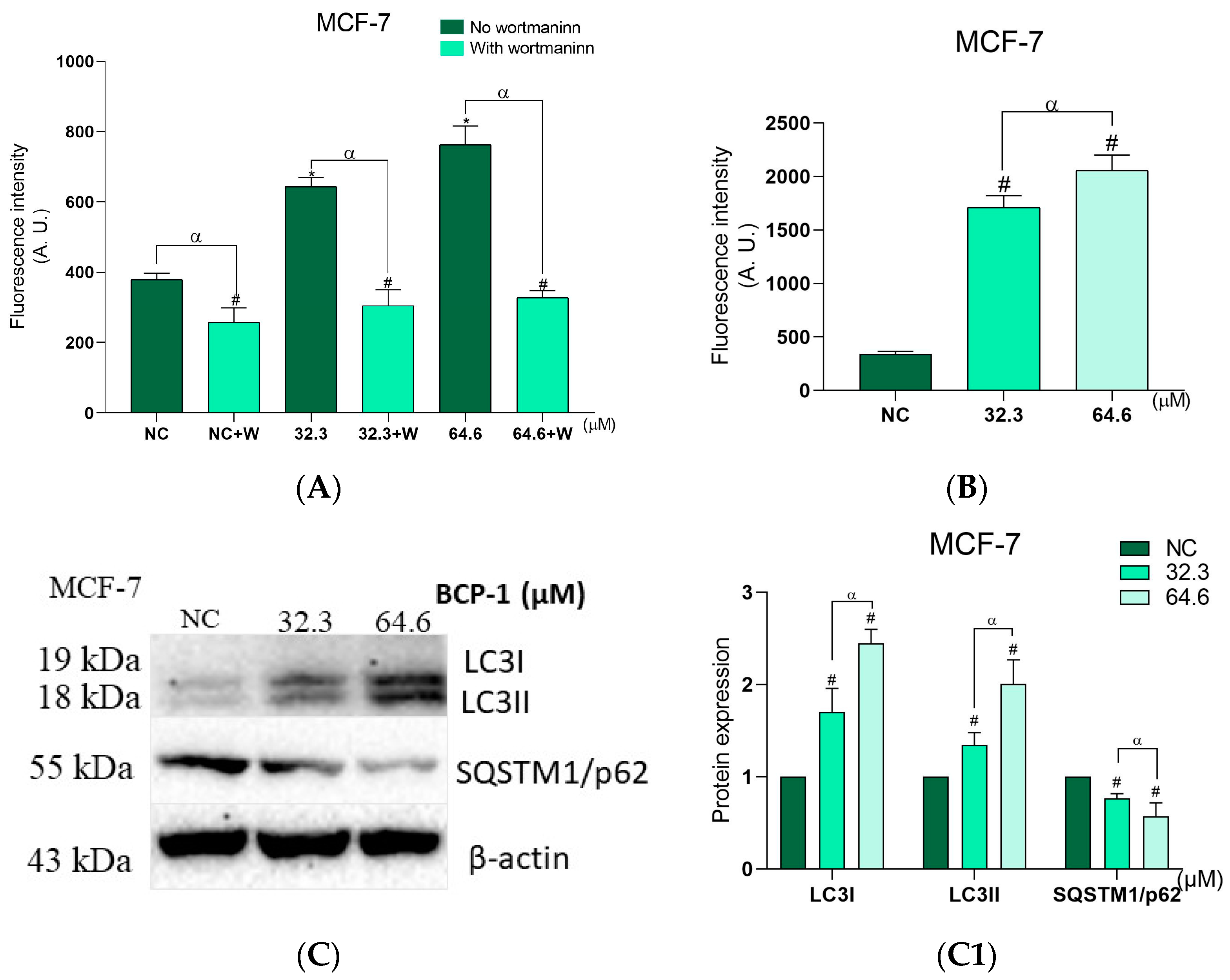 Molecules 28 03949 g010