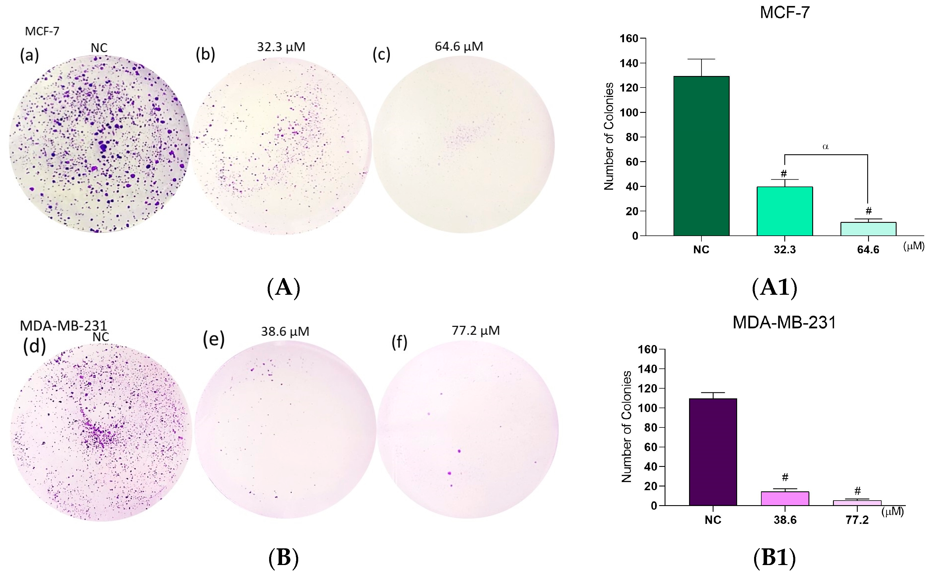Molecules 28 03949 g012