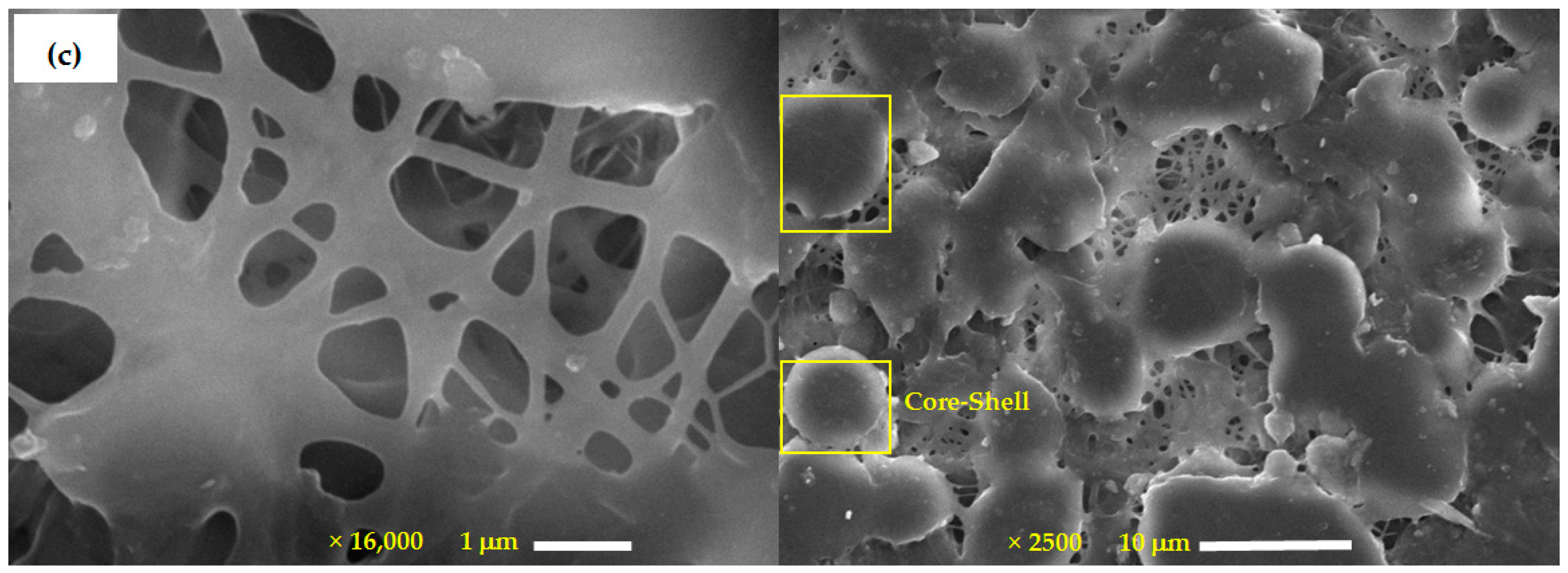 Molecules 28 03951 g003b