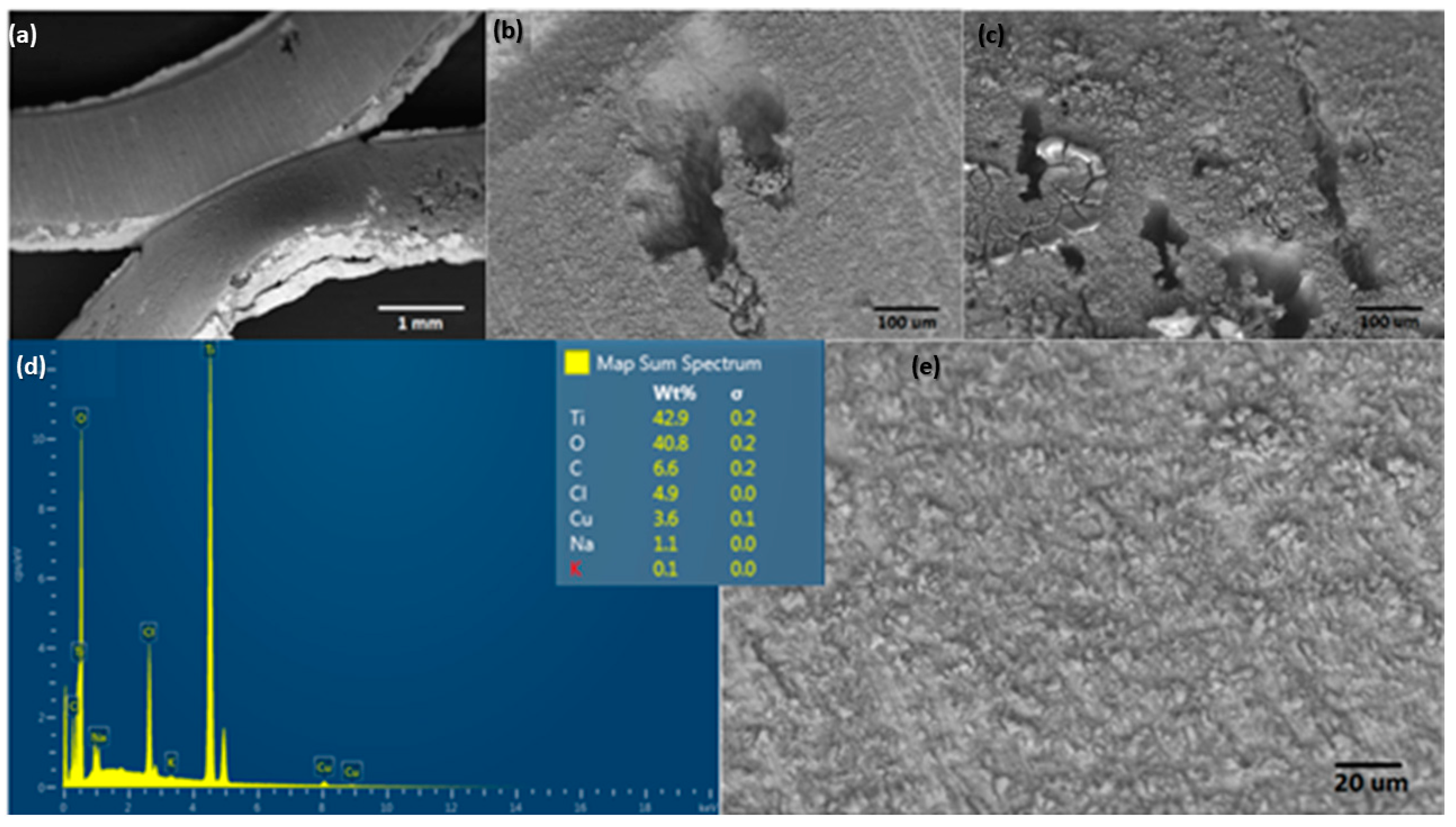 Molecules 28 03954 g009 Molecules 28 03954 g009