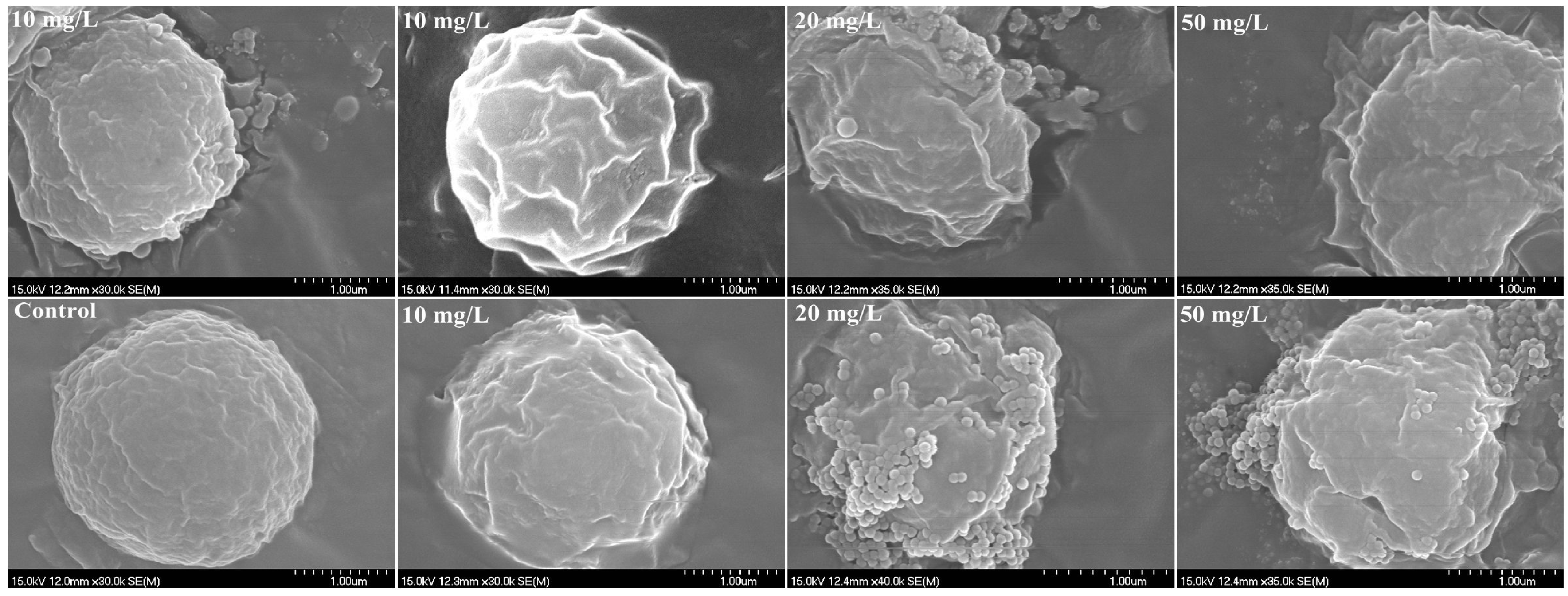Molecules 28 03958 g004