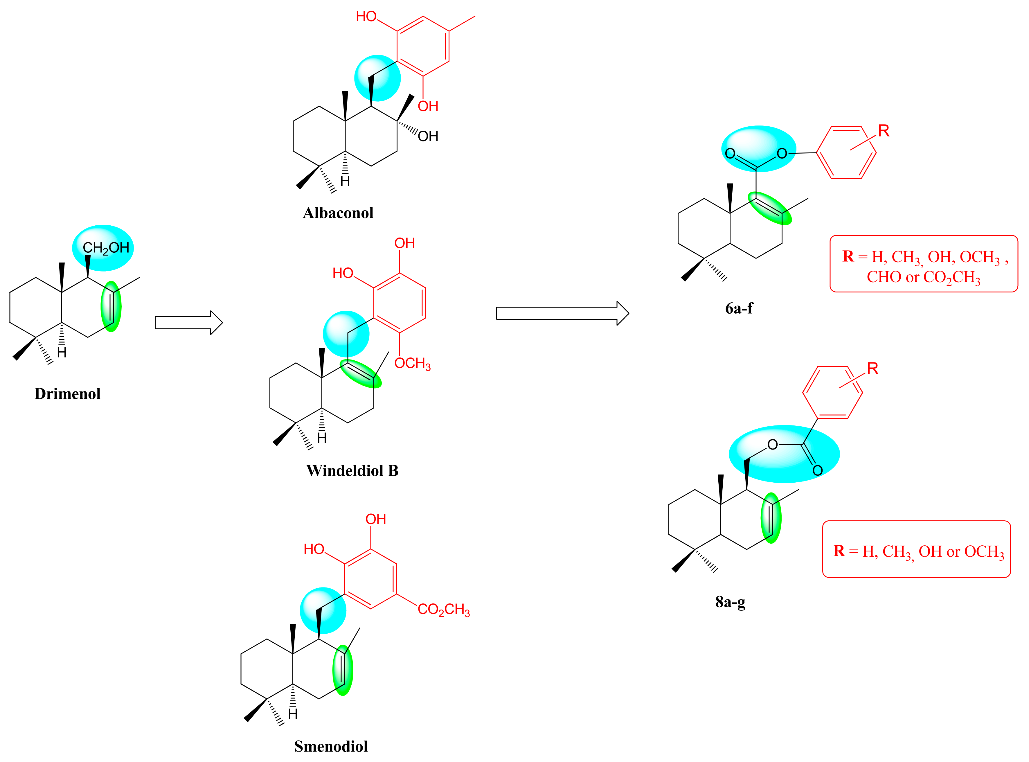 Molecules 28 03959 g002