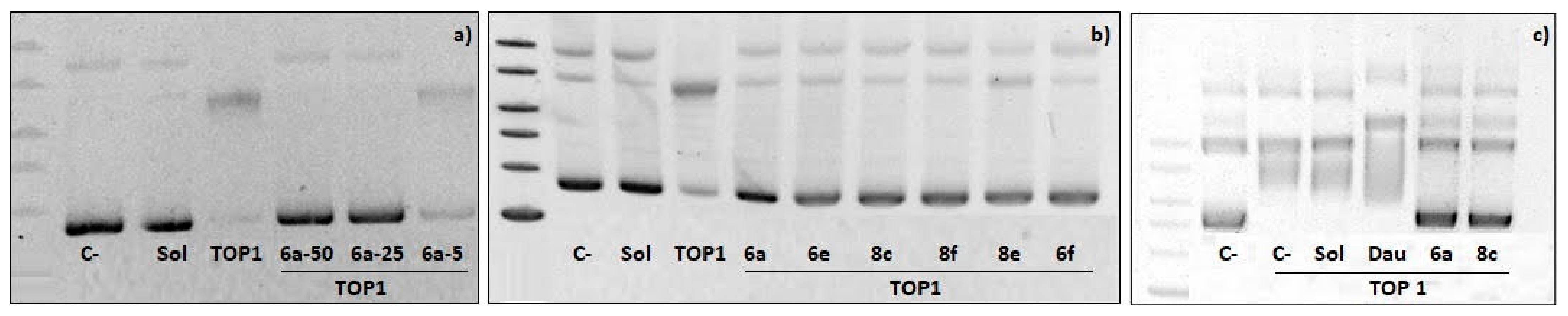 Molecules 28 03959 g004