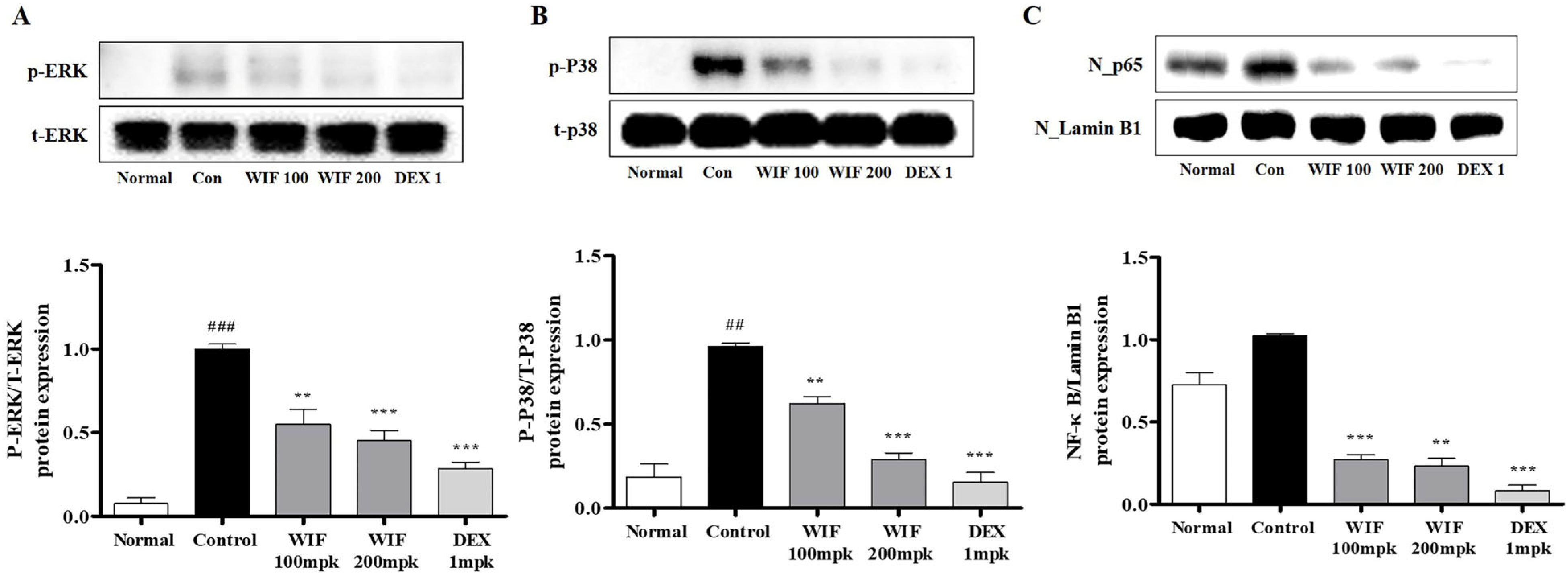 Molecules 28 03960 g004 Molecules 28 03960 g004