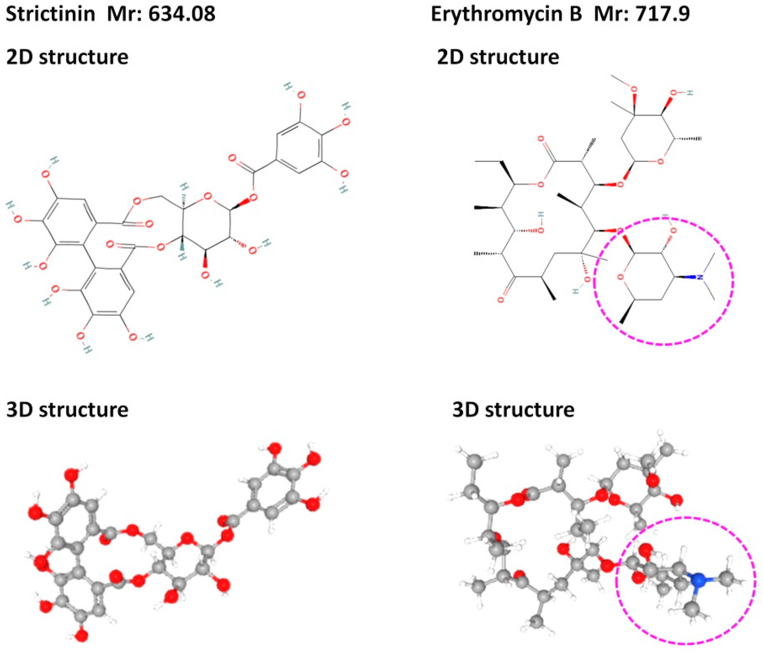 Molecules 28 03961 g004 Molecules 28 03961 g004