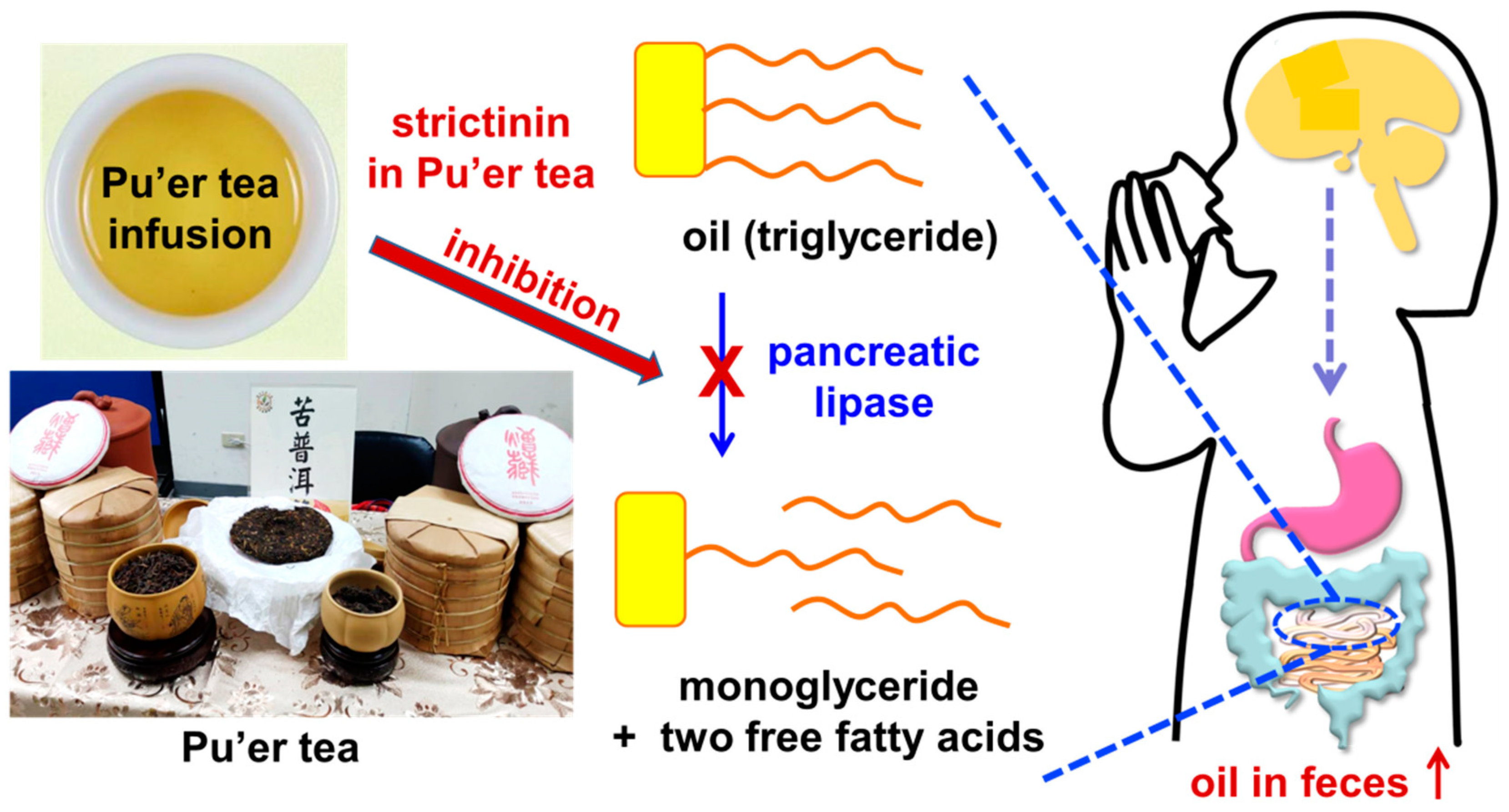 Molecules 28 03961 g005 Molecules 28 03961 g005