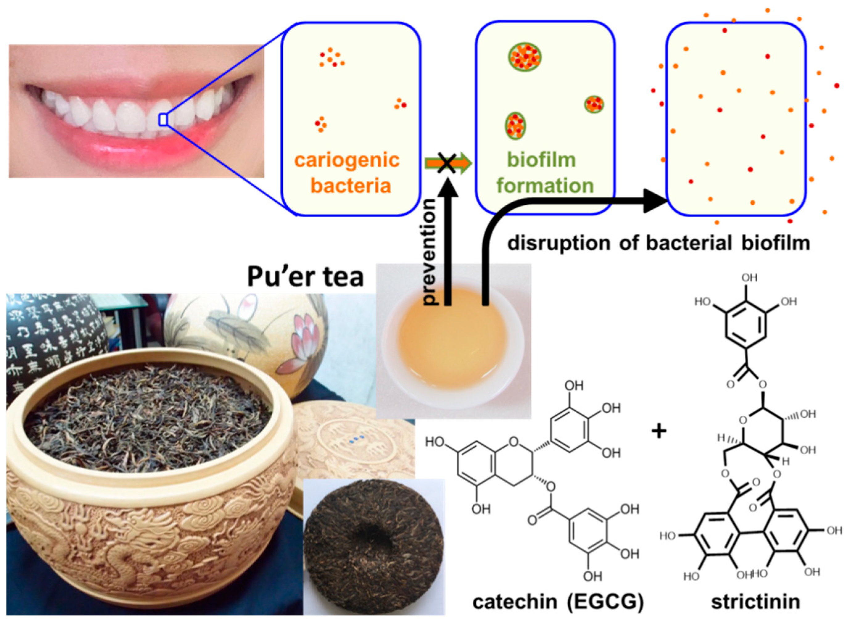Molecules 28 03961 g006 Molecules 28 03961 g006