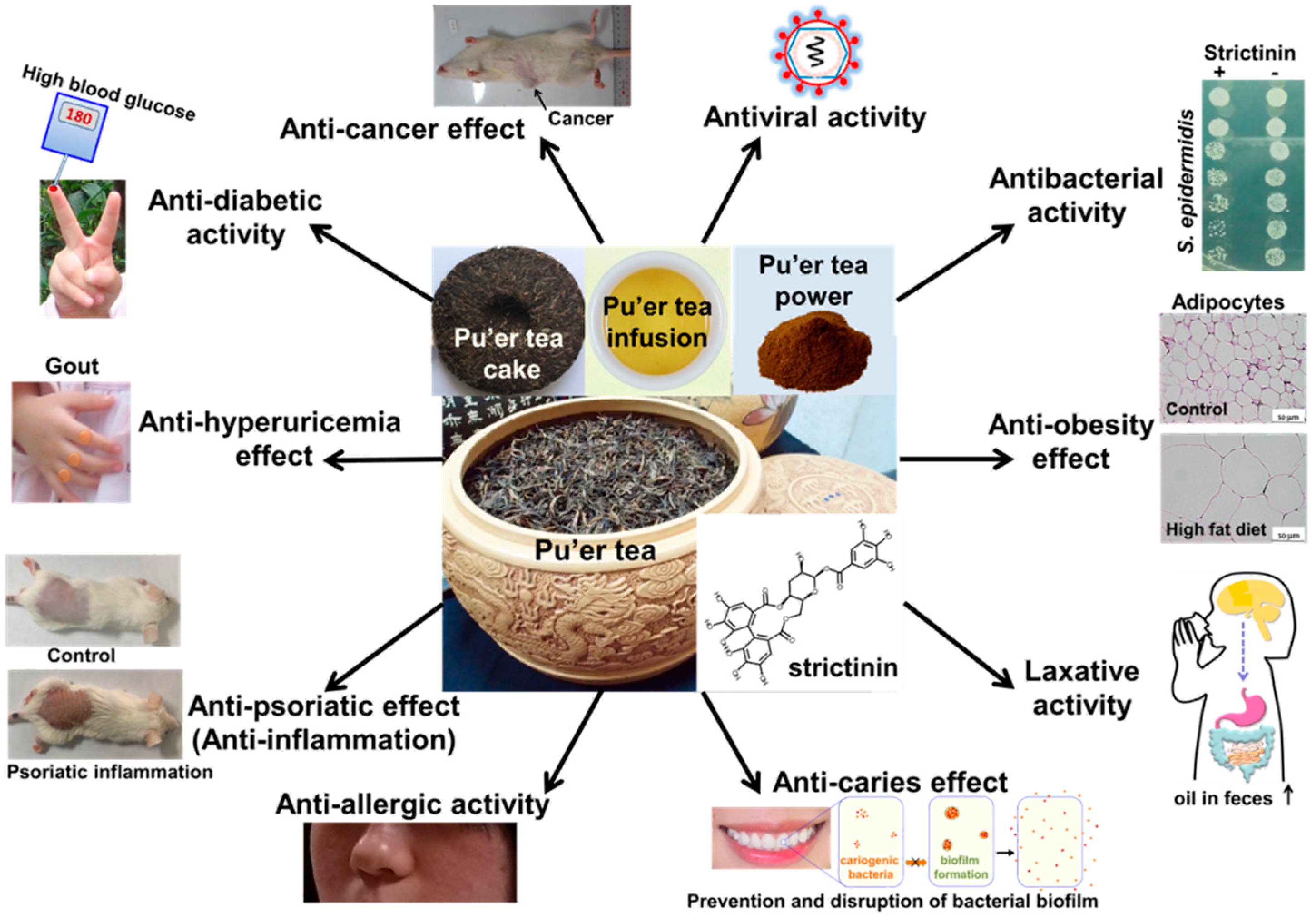 Molecules 28 03961 g007 Molecules 28 03961 g007