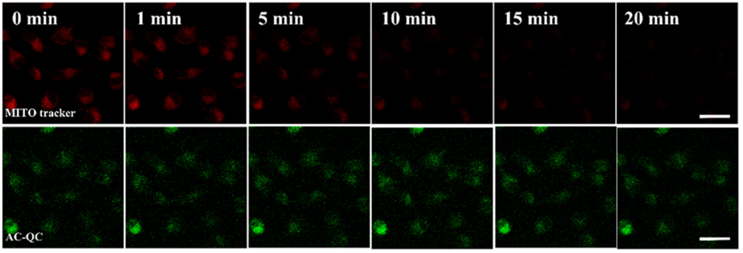 Molecules 28 03962 g006