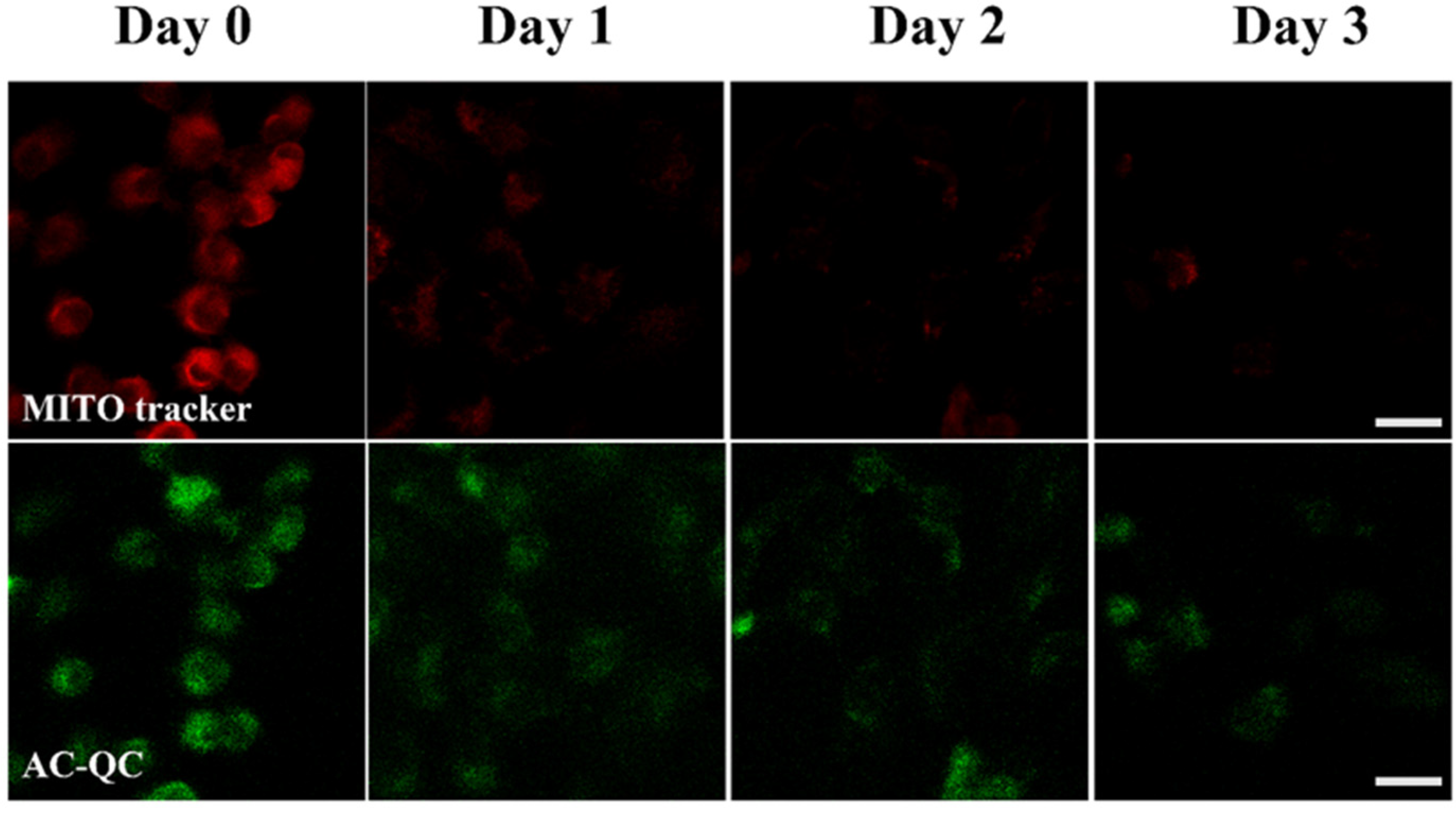 Molecules 28 03962 g007