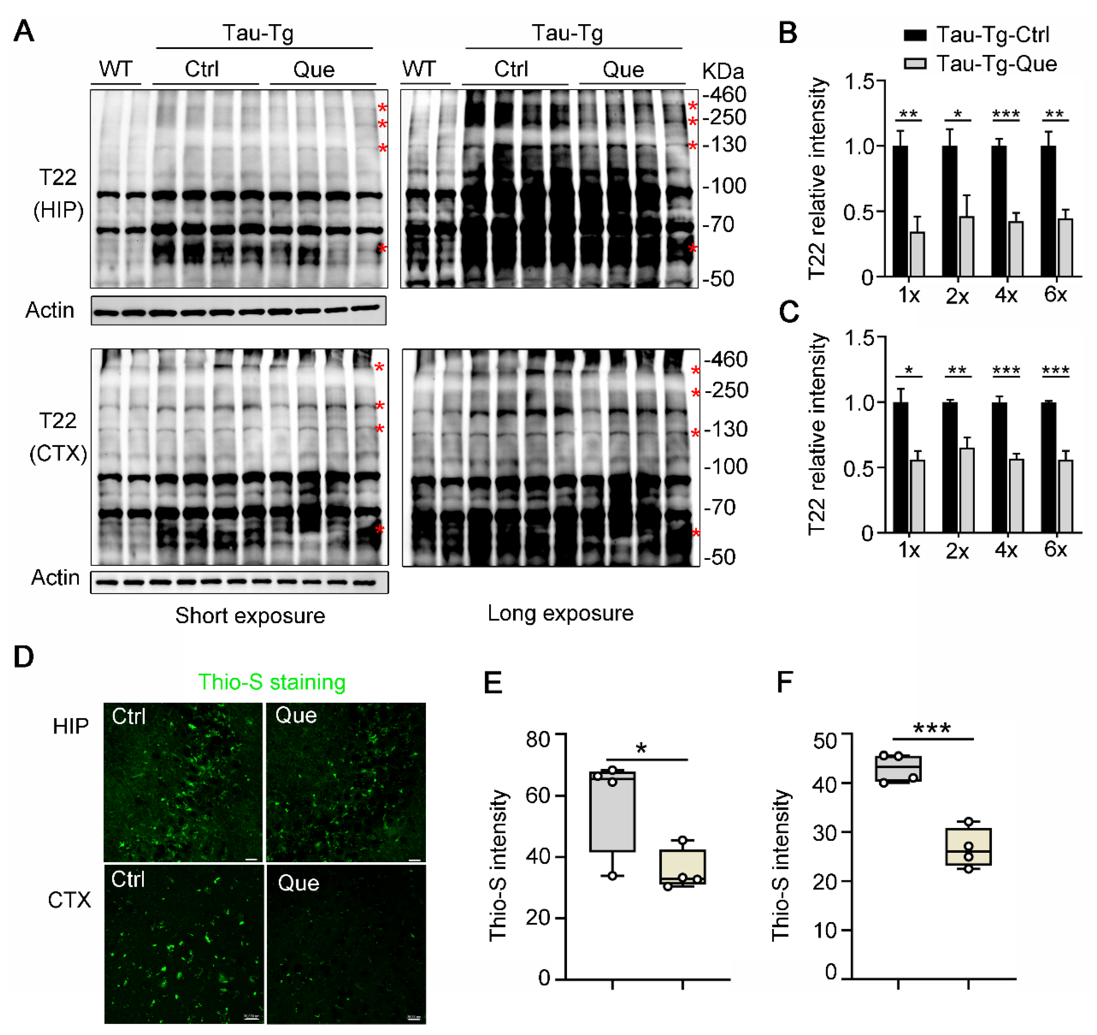Molecules 28 03964 g004
