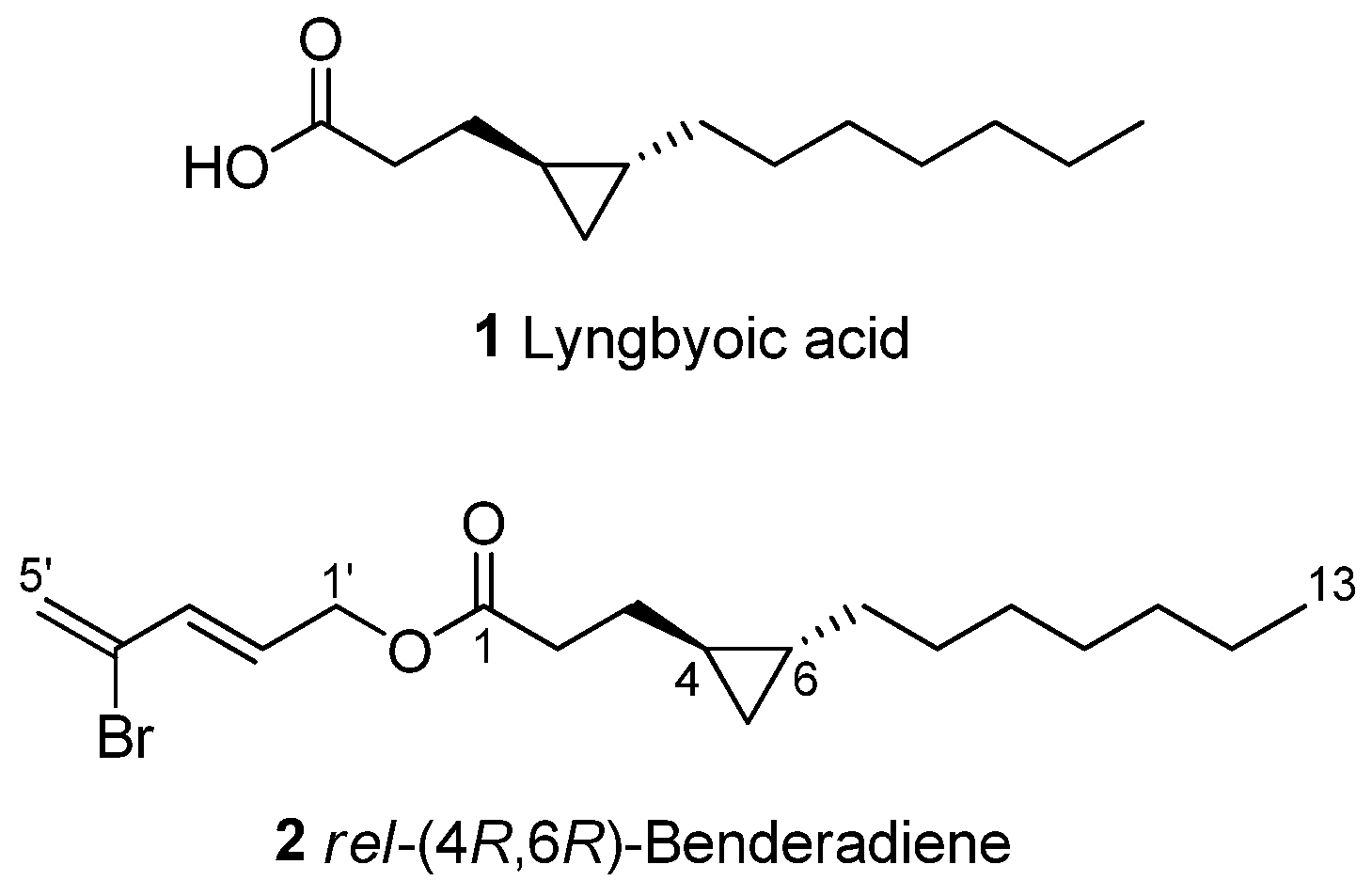 Molecules 28 03965 g003 Molecules 28 03965 g003