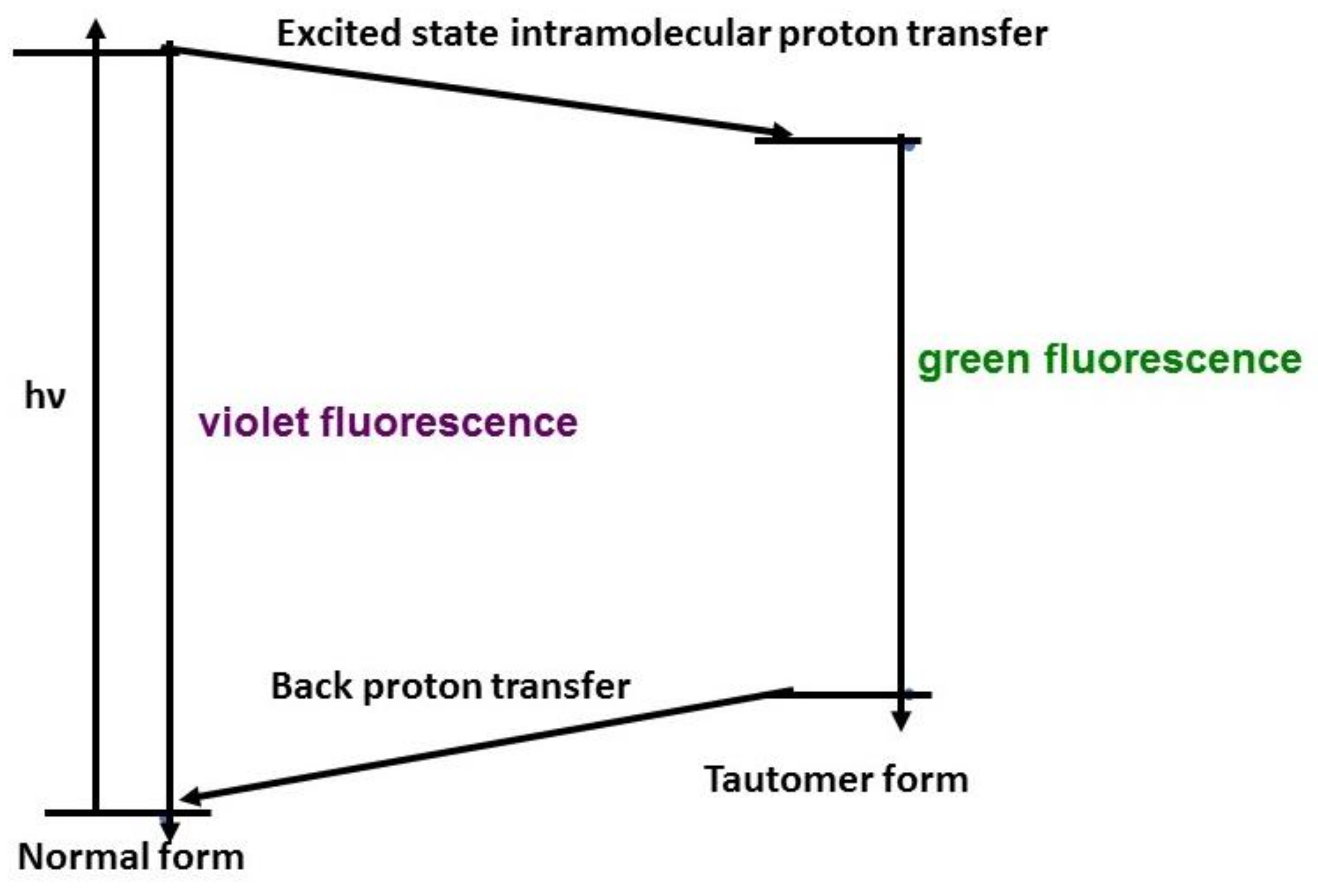 Molecules 28 03966 sch001