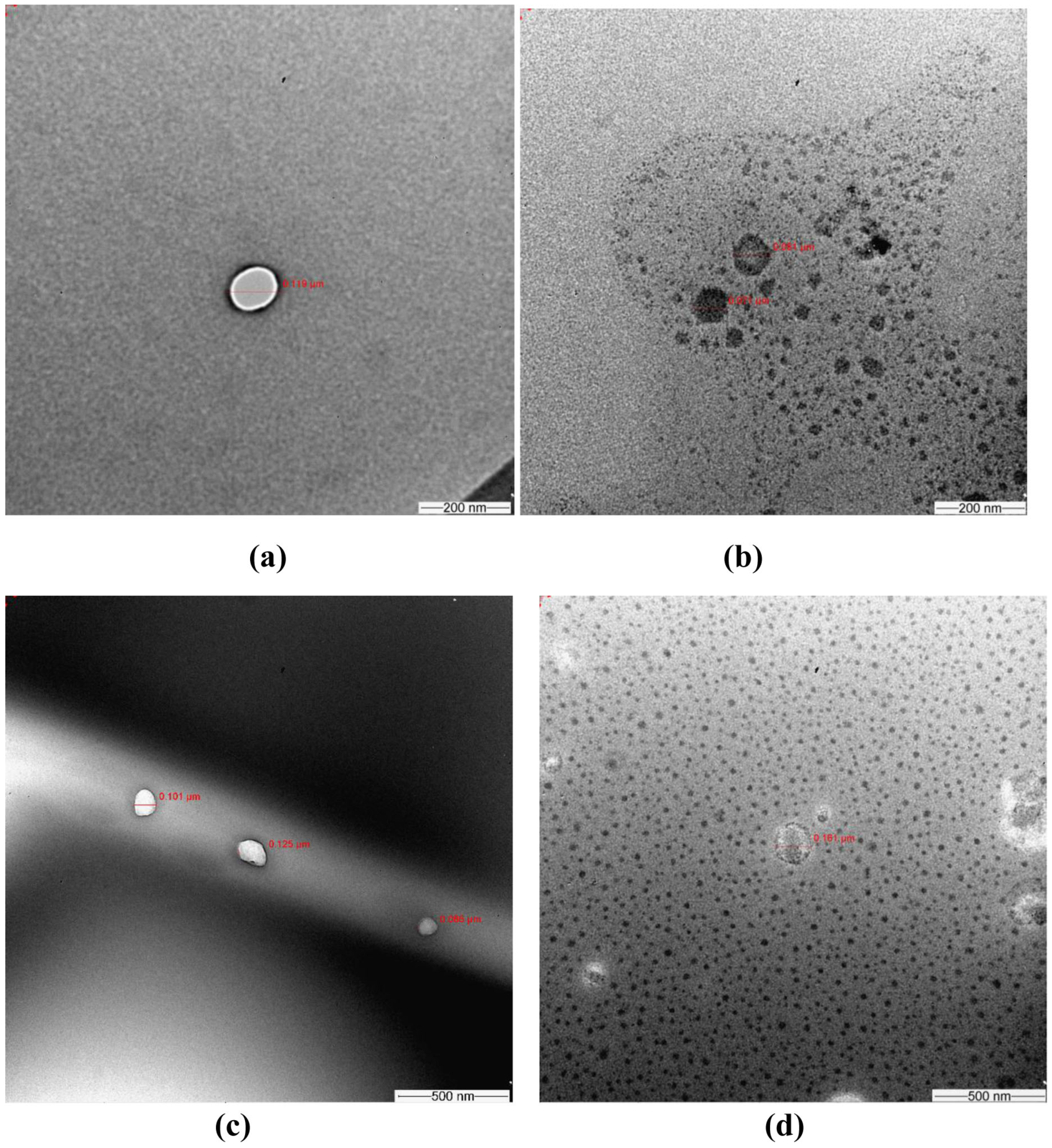 Molecules 28 03974 g001