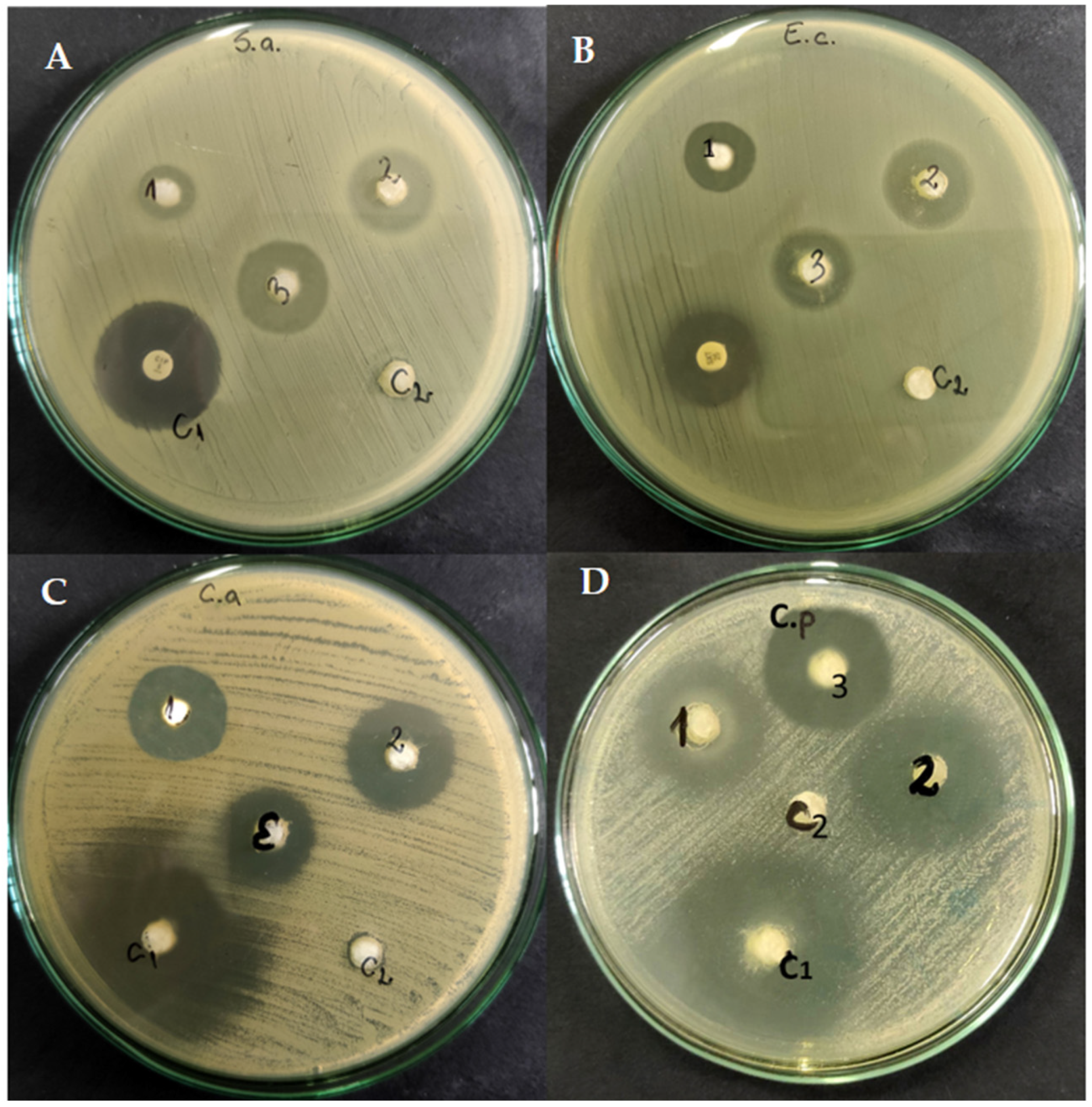 Molecules 28 03980 g002 Molecules 28 03980 g002