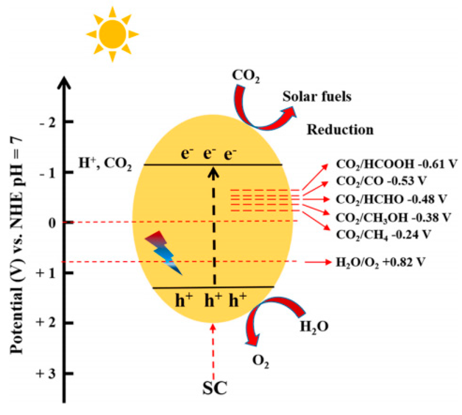 Molecules 28 03982 g002