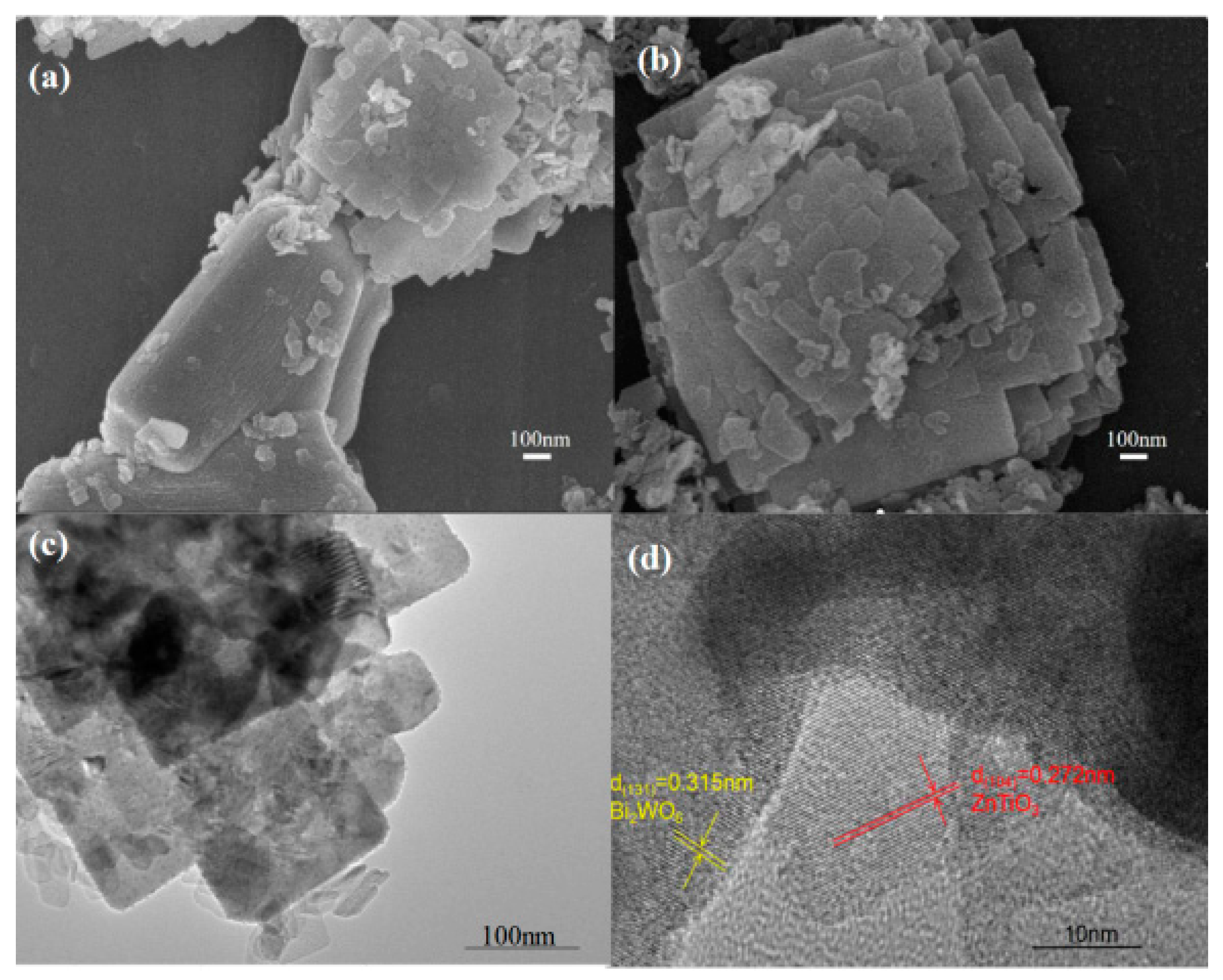 Molecules 28 03982 g005
