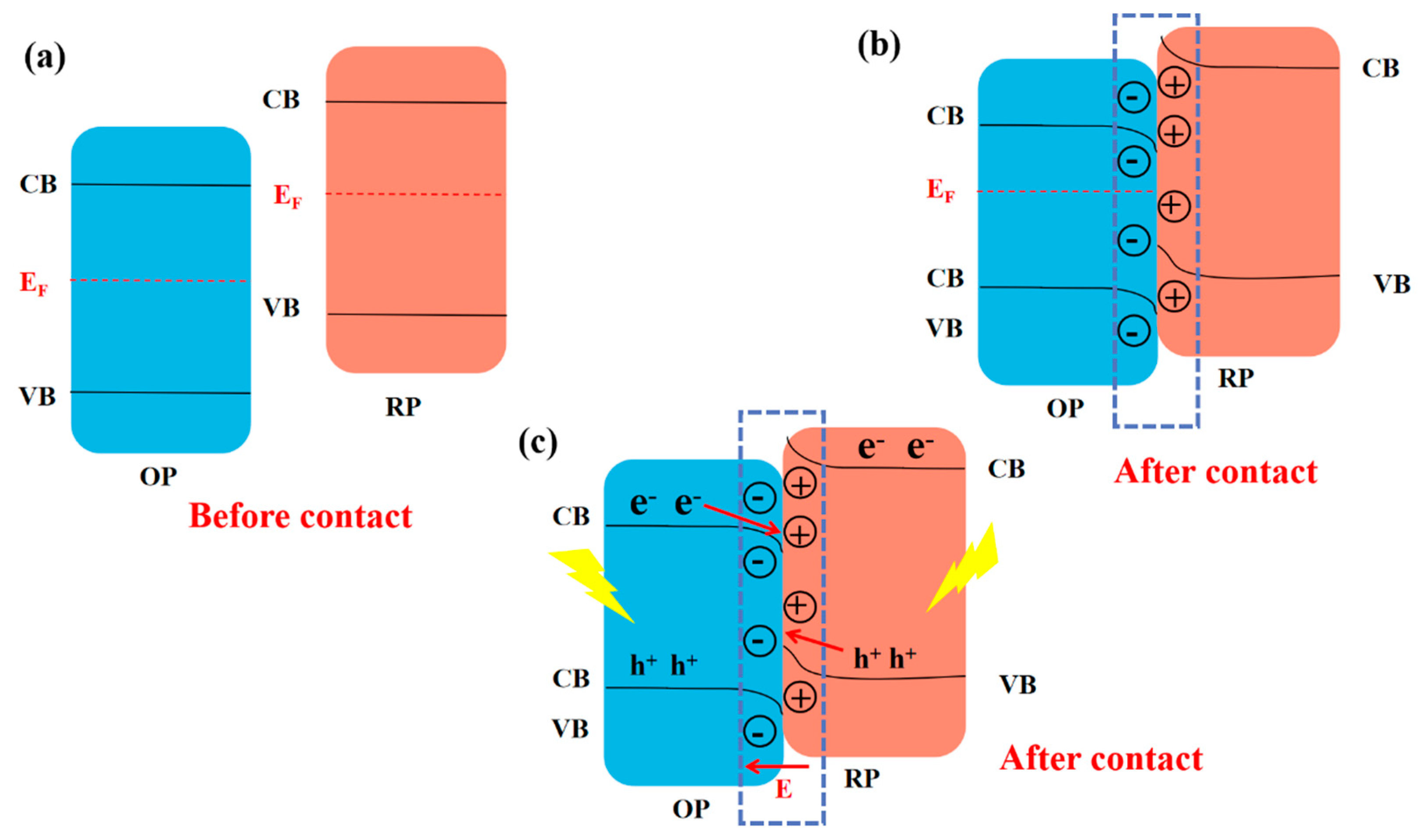 Molecules 28 03982 g007