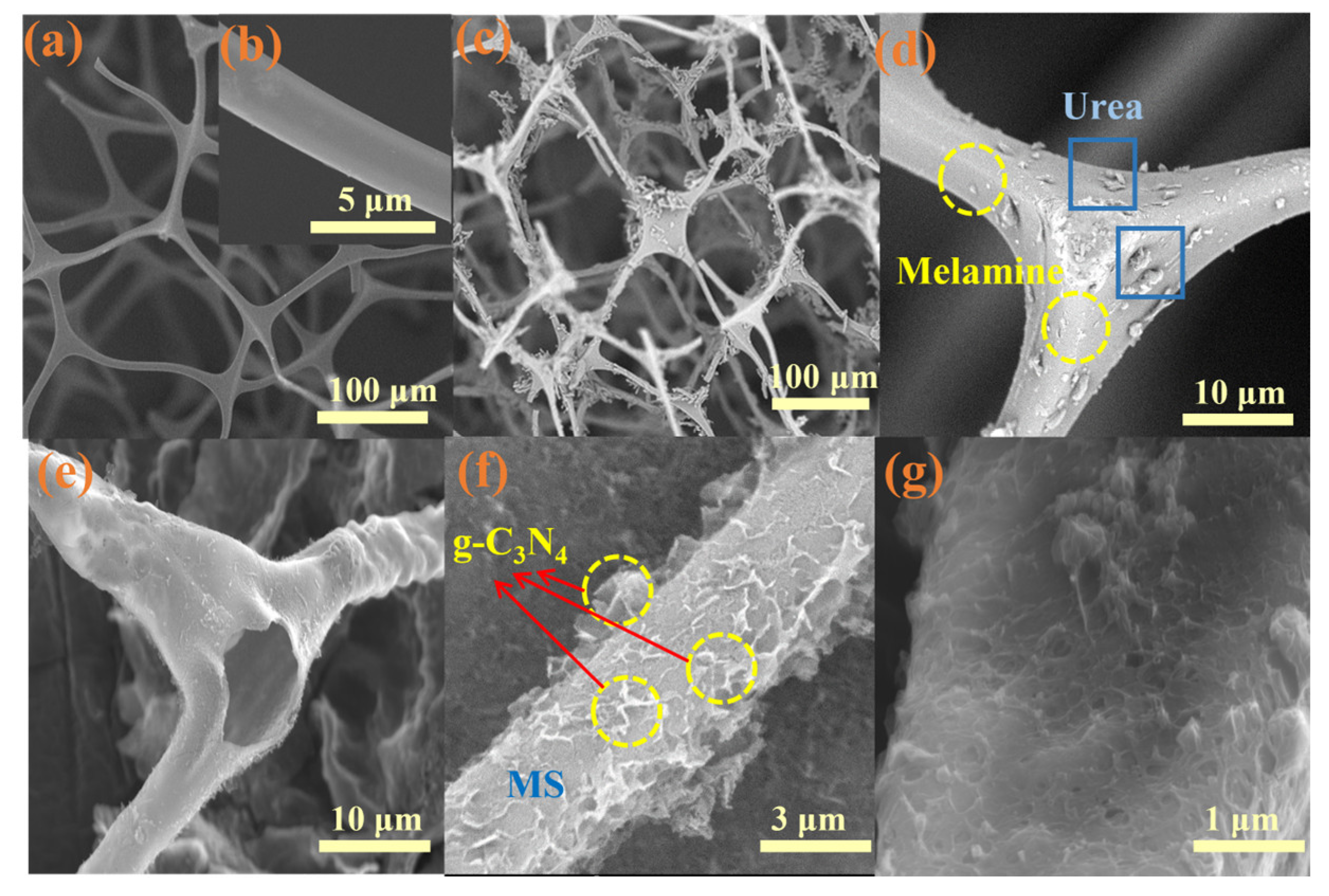 Molecules 28 03989 g002