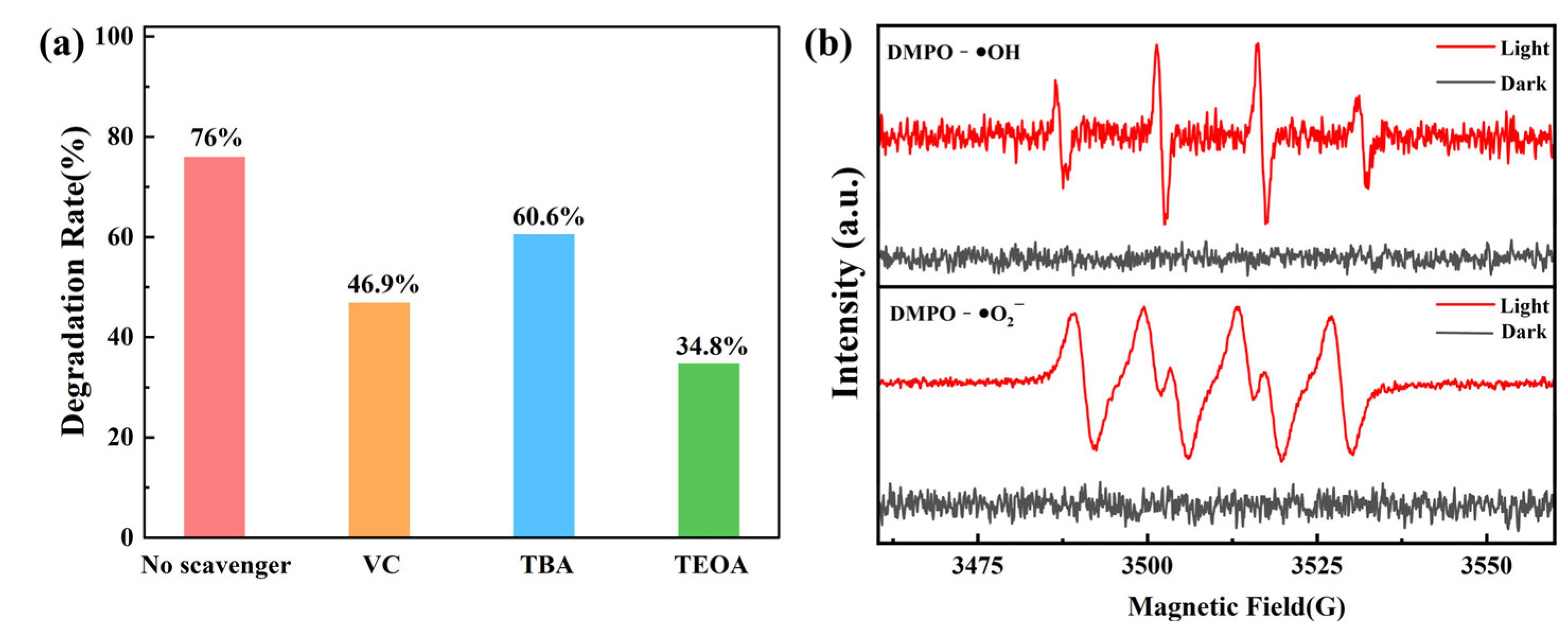 Molecules 28 03989 g008