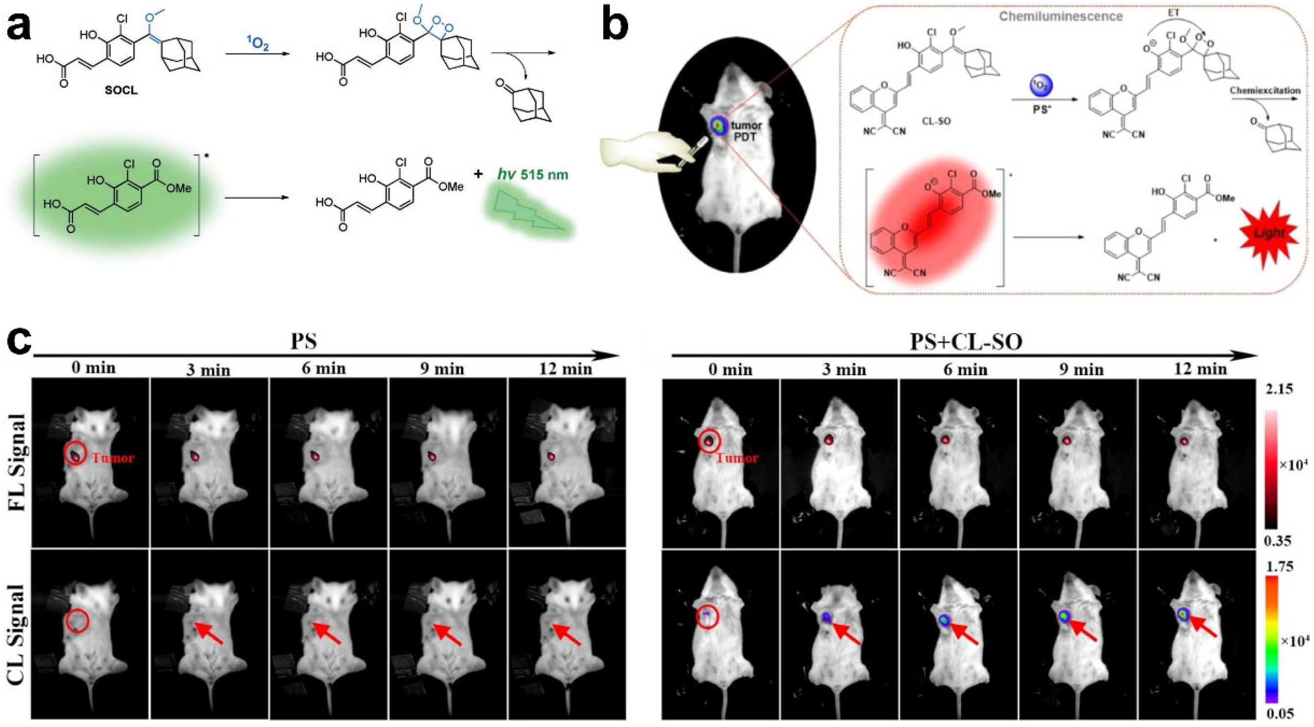 Molecules 28 03992 g009