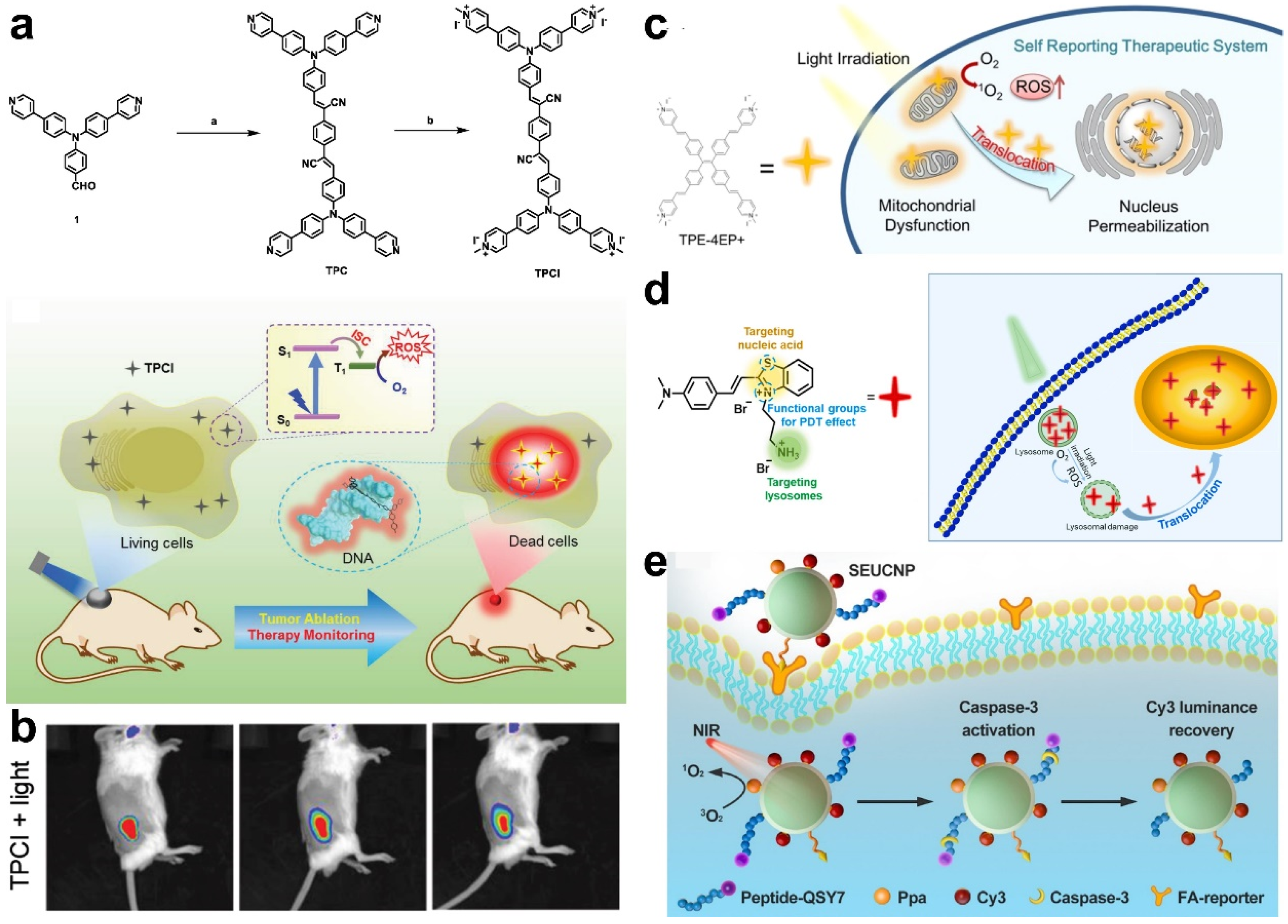 Molecules 28 03992 g010
