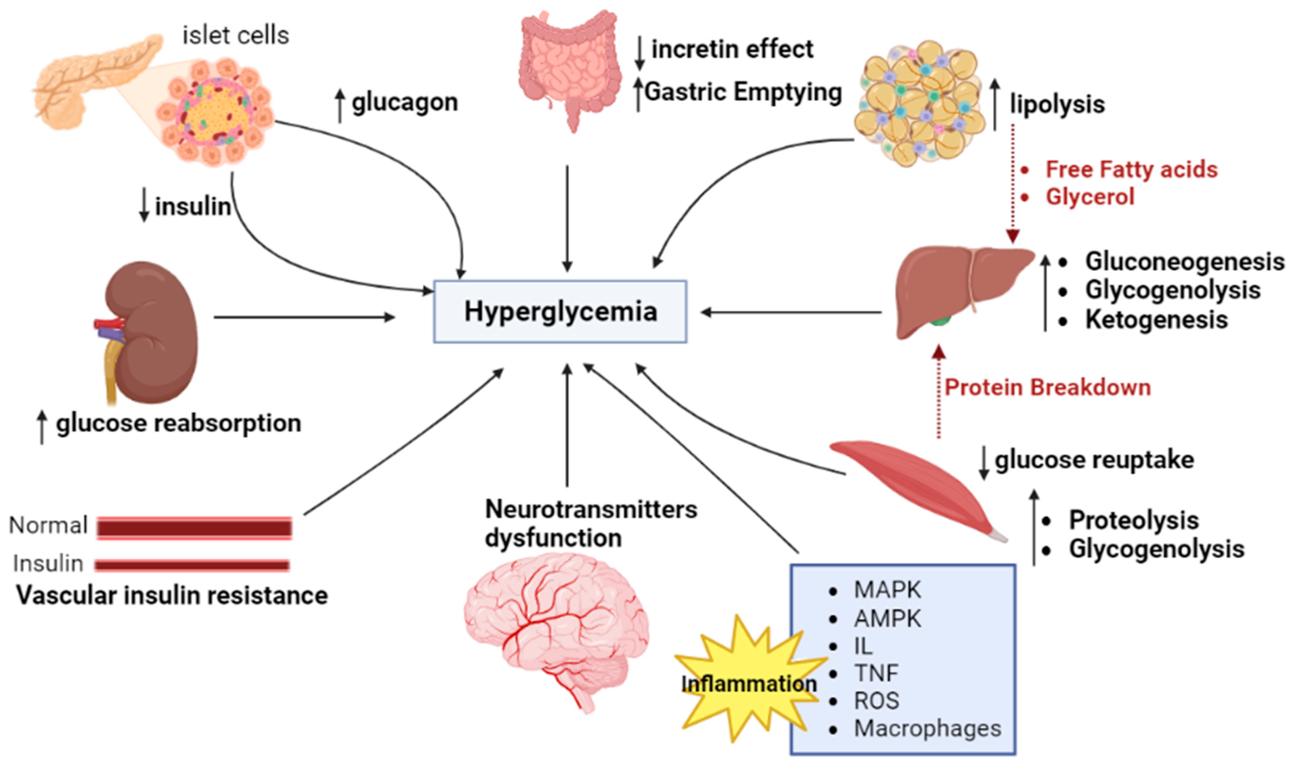 Molecules 28 03996 g001 Molecules 28 03996 g001