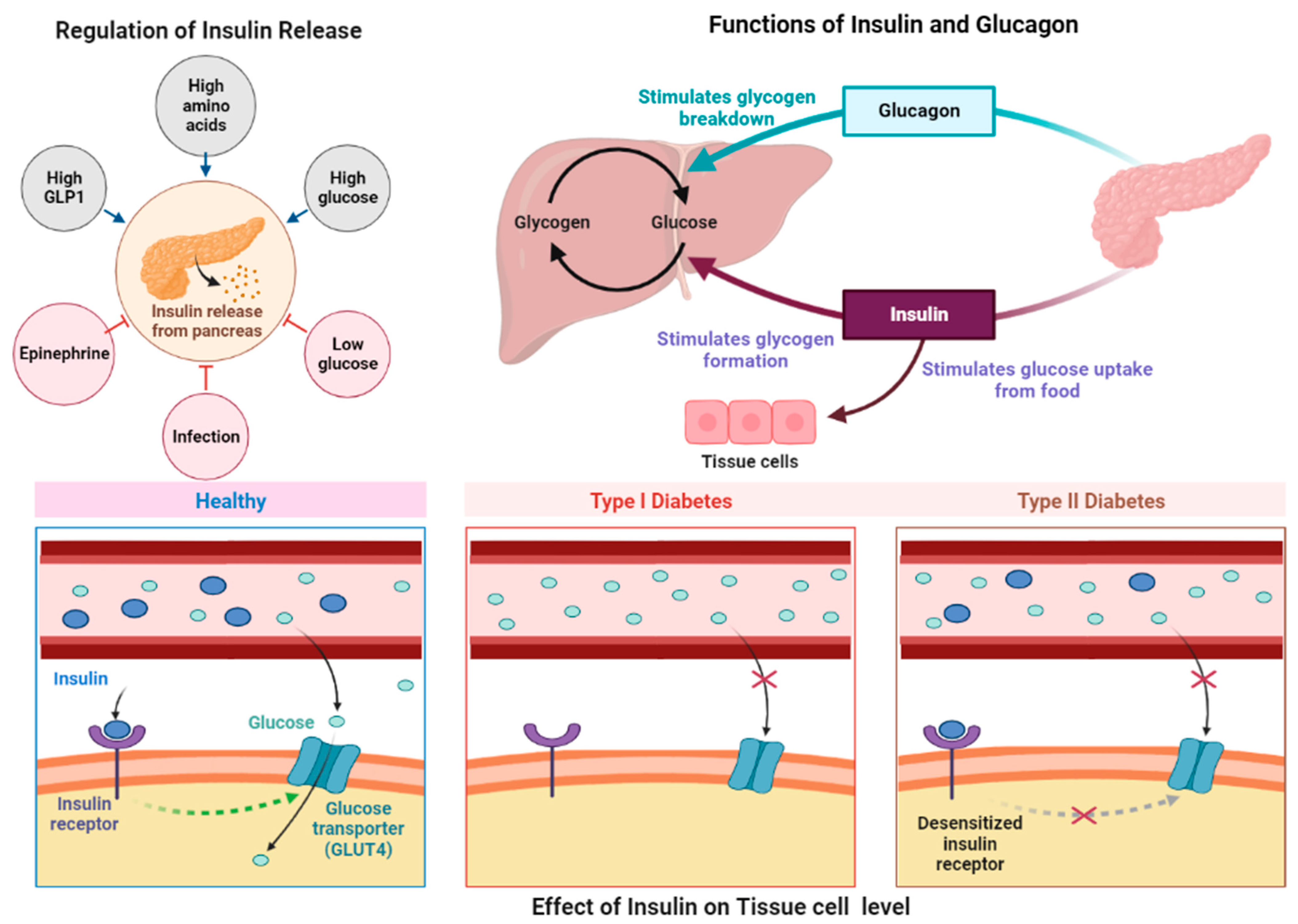 Molecules 28 03996 g002 Molecules 28 03996 g002