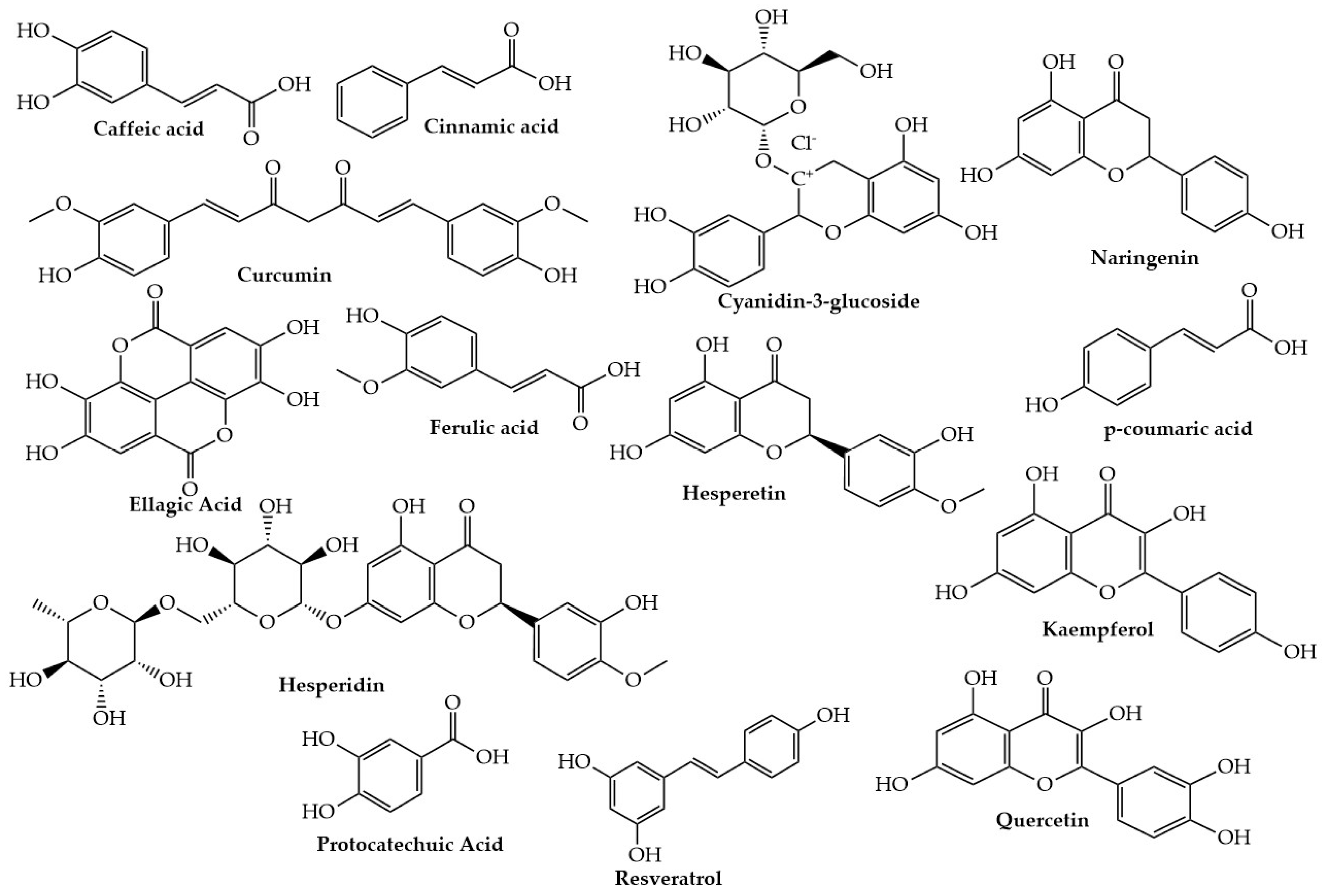 Molecules 28 03996 g003 Molecules 28 03996 g003