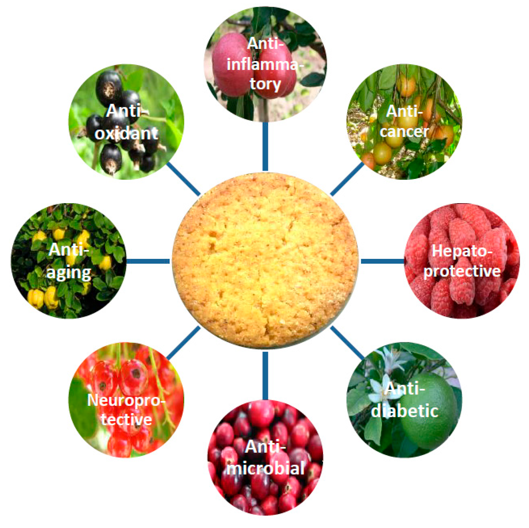 Molecules 28 04005 g001