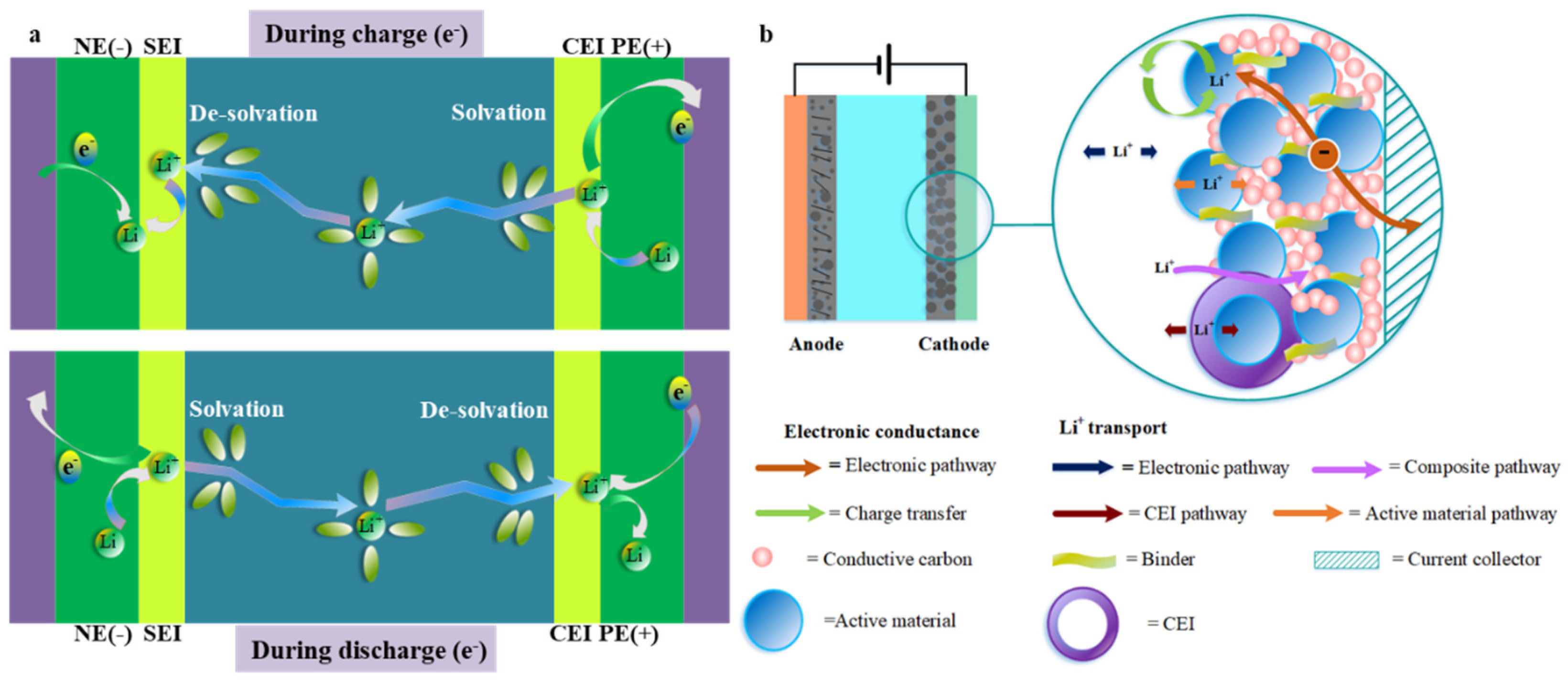 Molecules 28 04007 g001