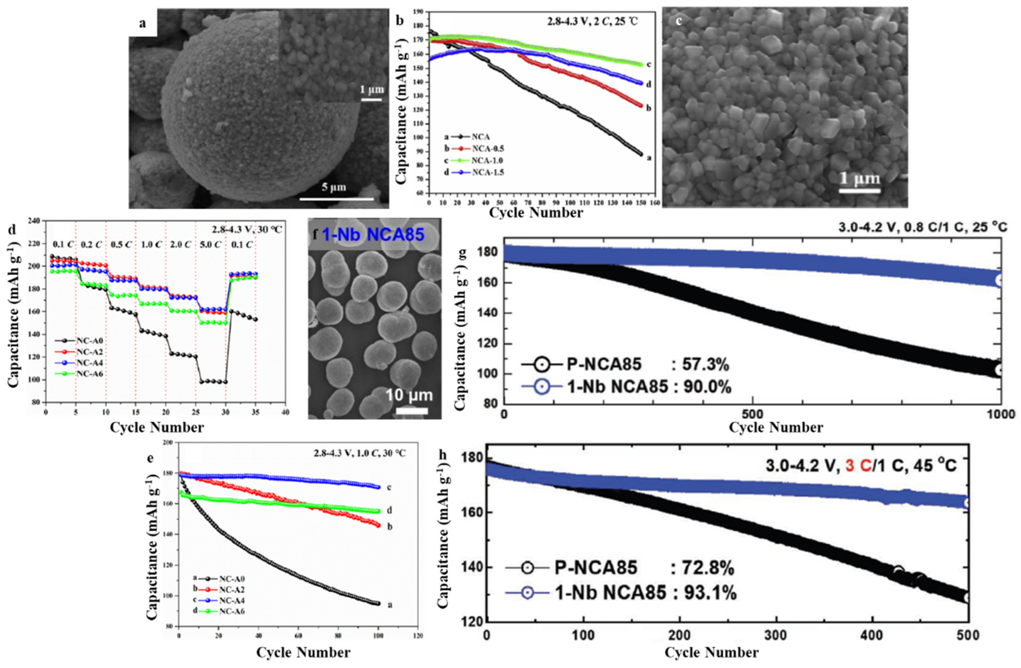 Molecules 28 04007 g006