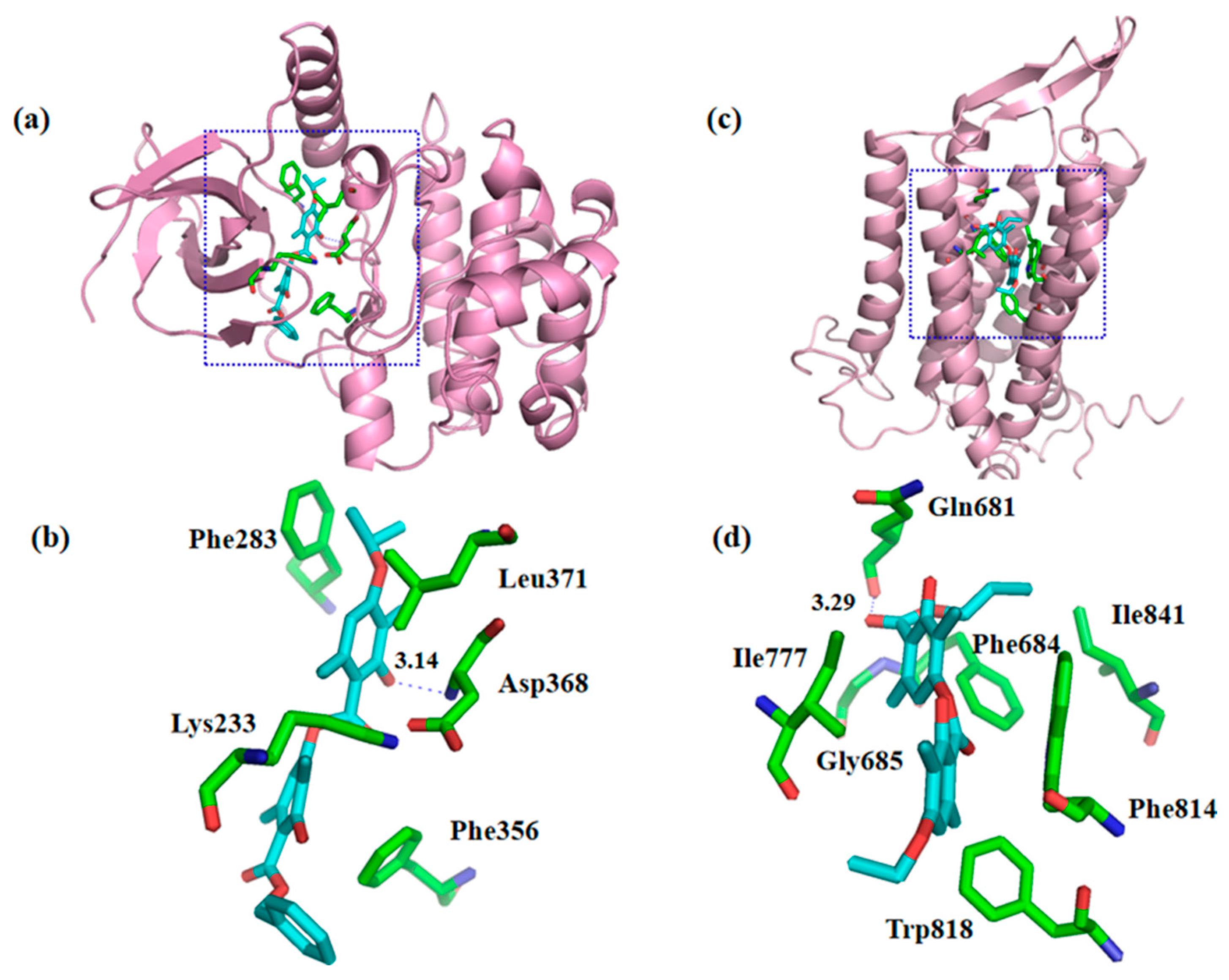 Molecules 28 04010 g006