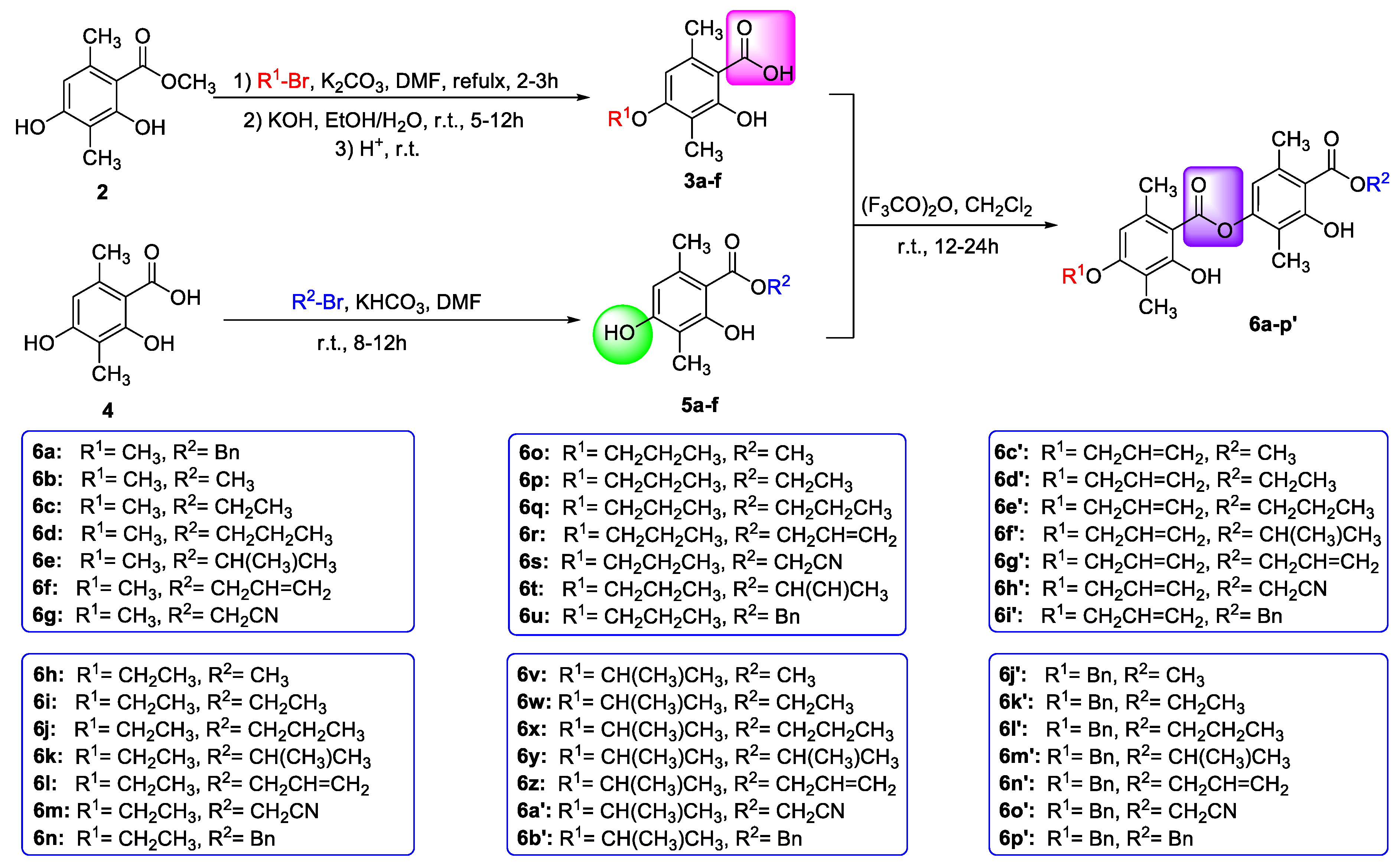 Molecules 28 04010 sch001