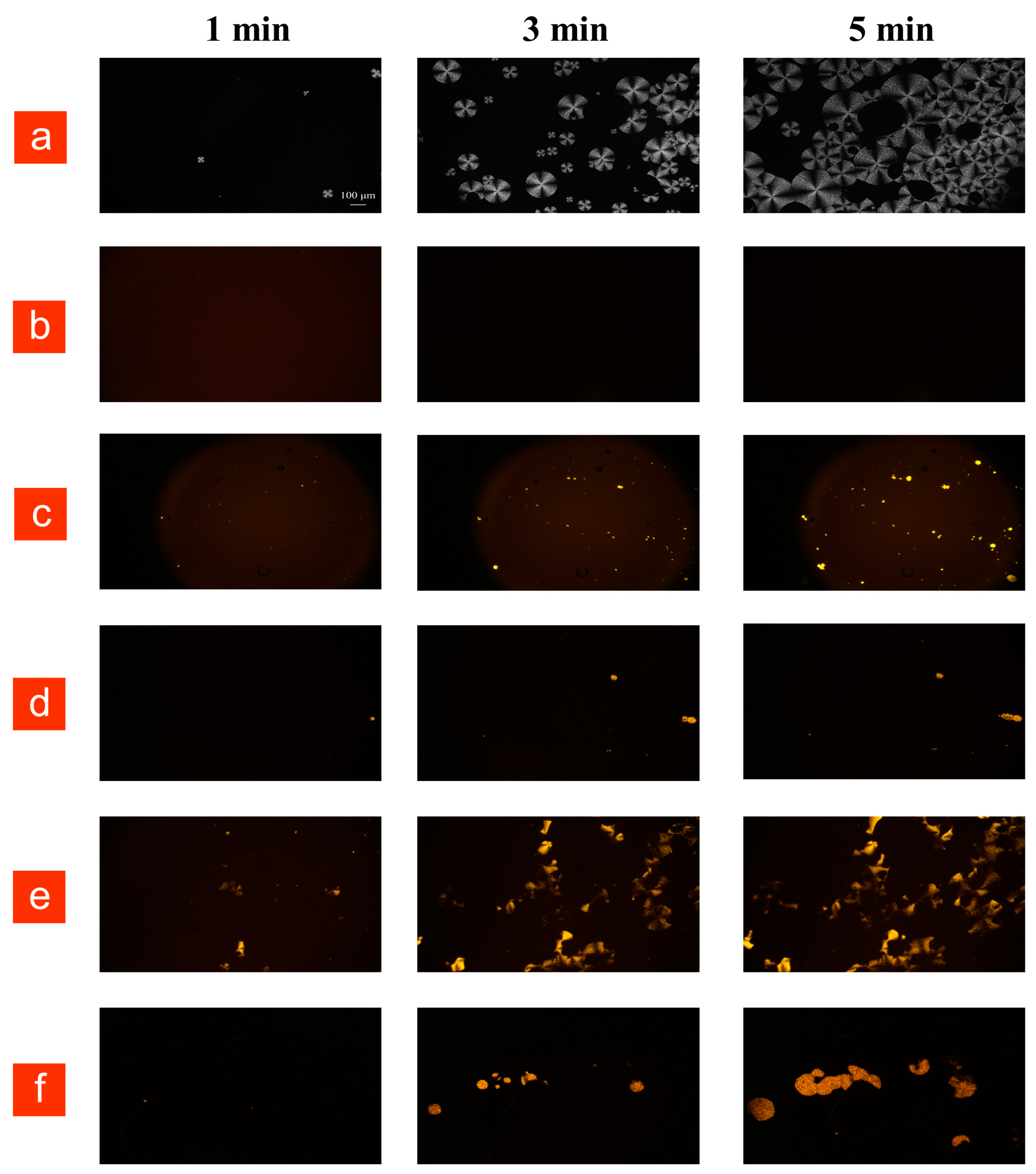 Molecules 28 04021 g006 Molecules 28 04021 g006