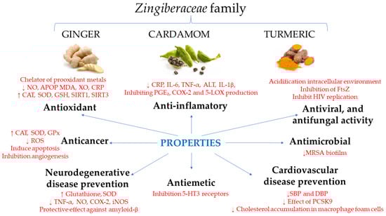 Molecules 28 04024 g001