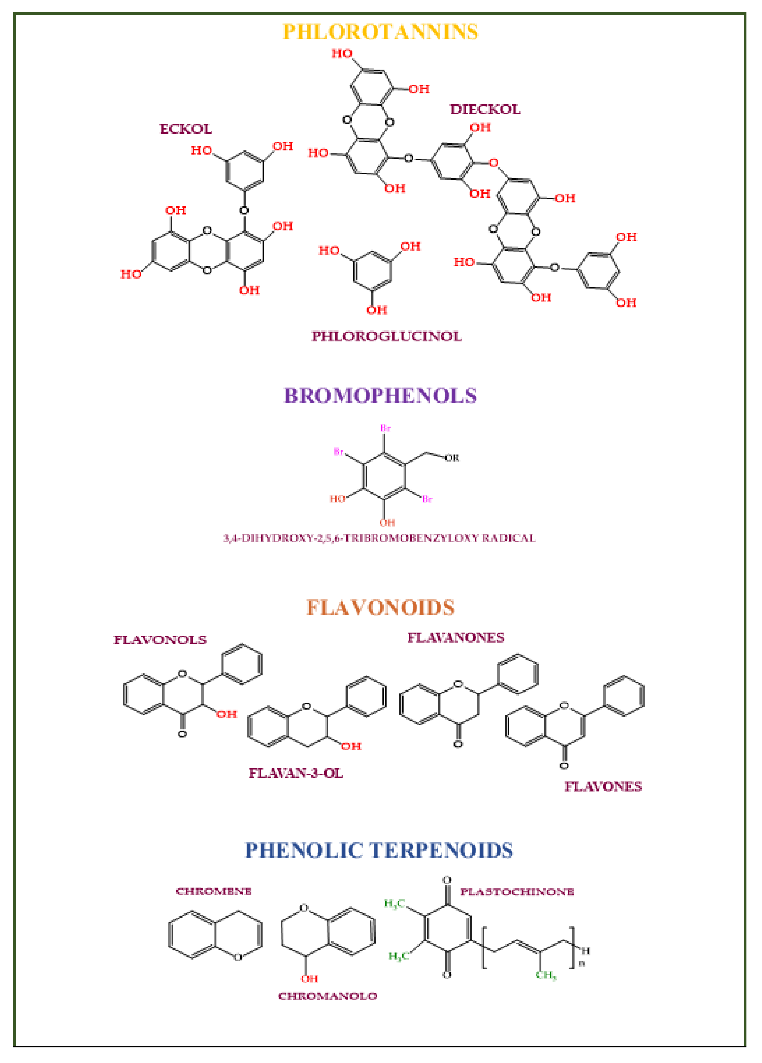 Molecules 28 04032 g005 Molecules 28 04032 g005