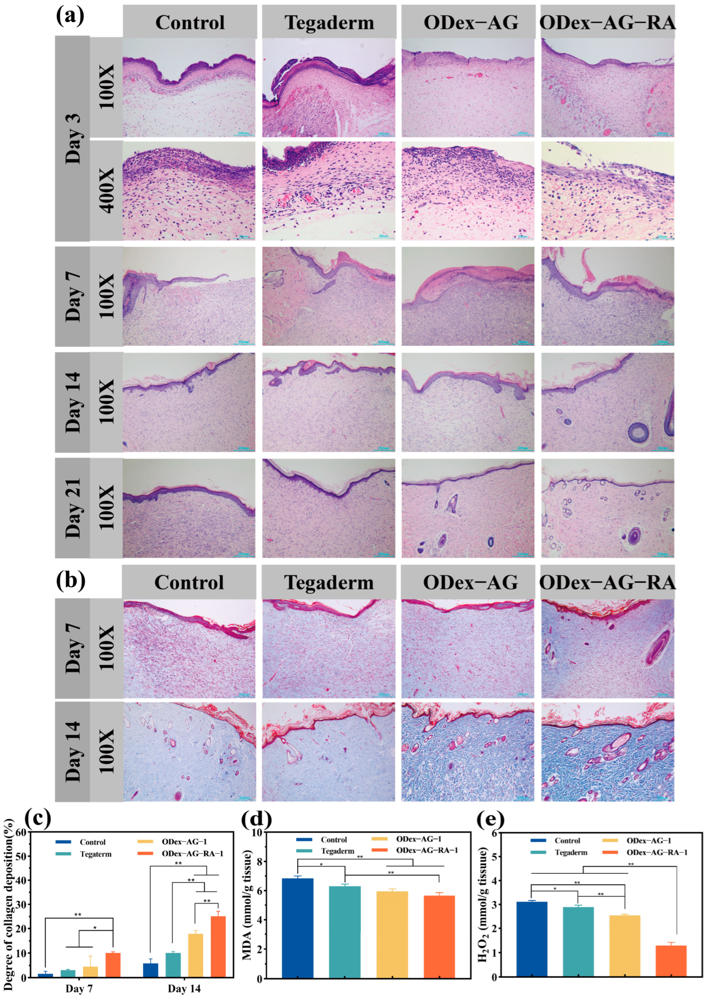 Molecules 28 04034 g007