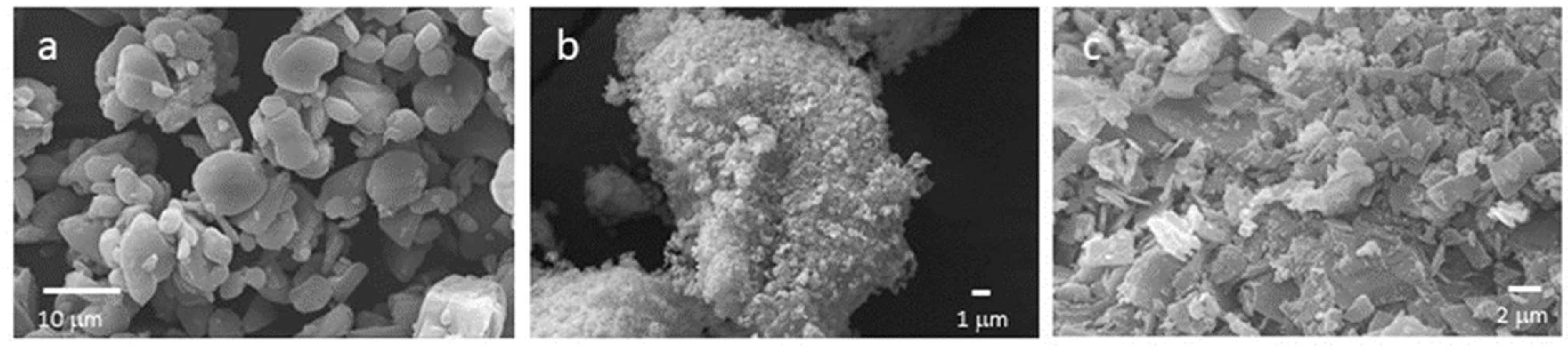 Molecules 28 04035 g002